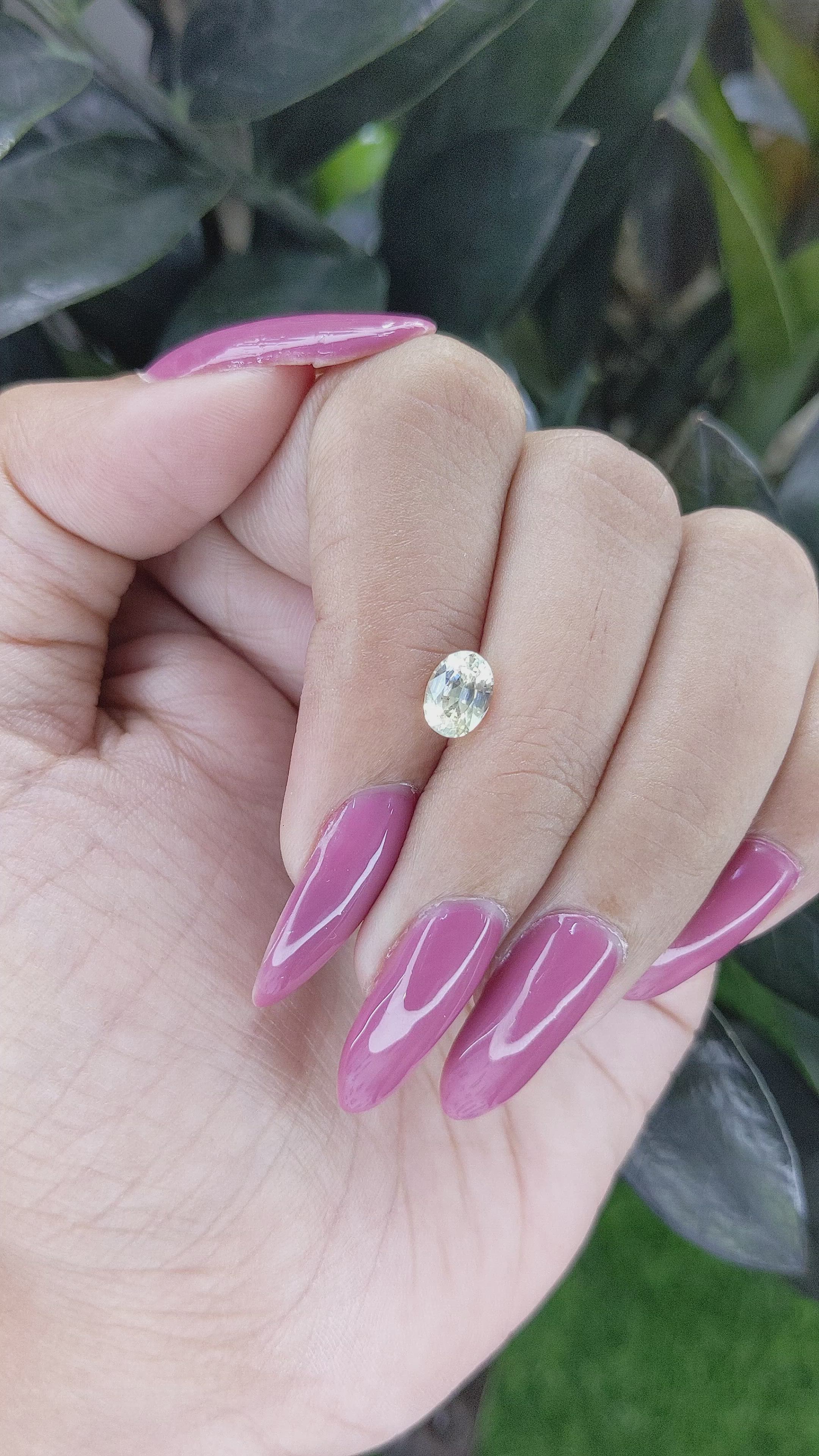 1.11 Ct. Yellow Sapphire from Ceylon (Sri Lanka) Size Video