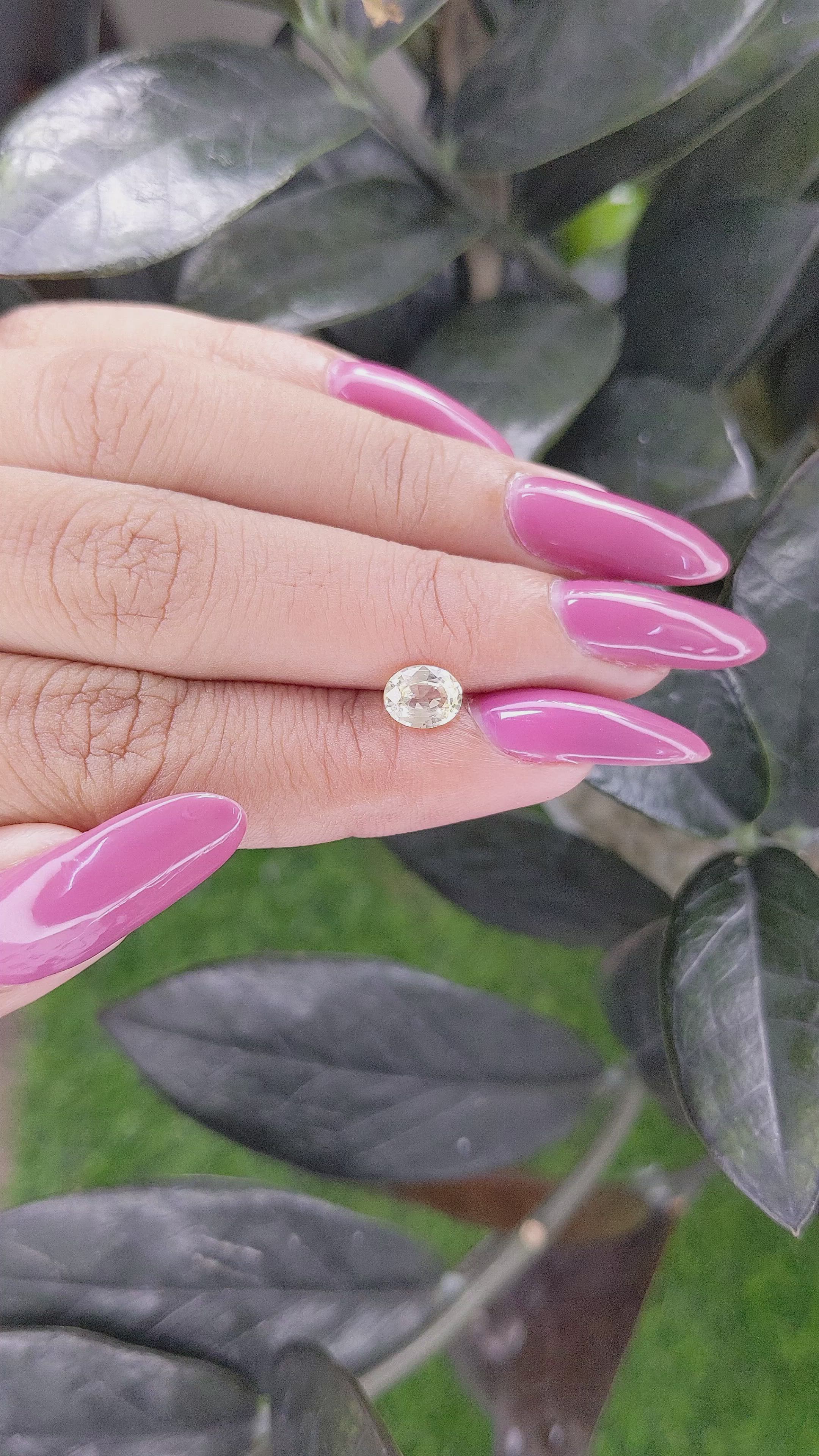 1.00 Ct. Yellow Sapphire from Ceylon (Sri Lanka) Size Video