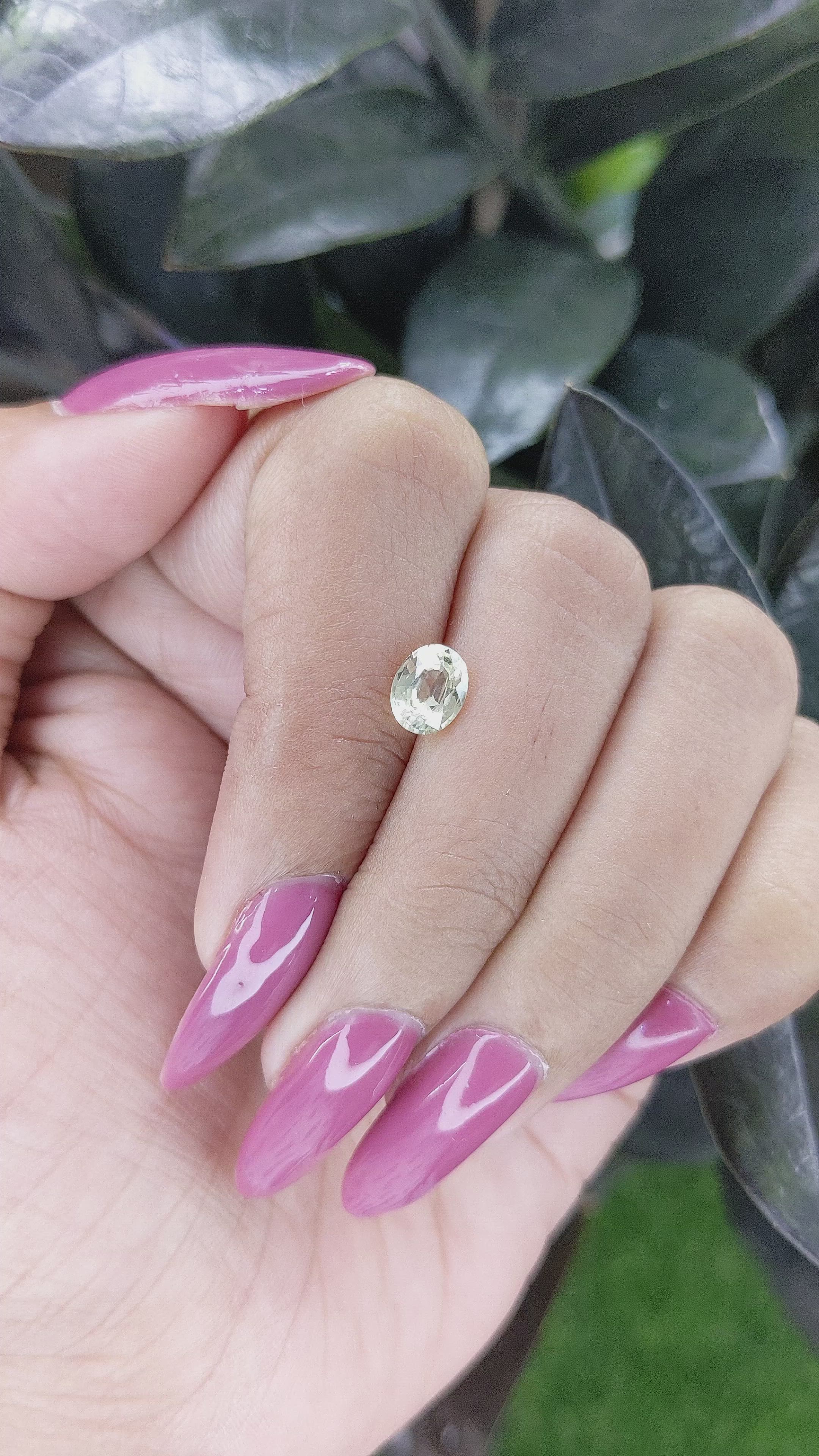 1.00 Ct. Yellow Sapphire from Ceylon (Sri Lanka) Size Video