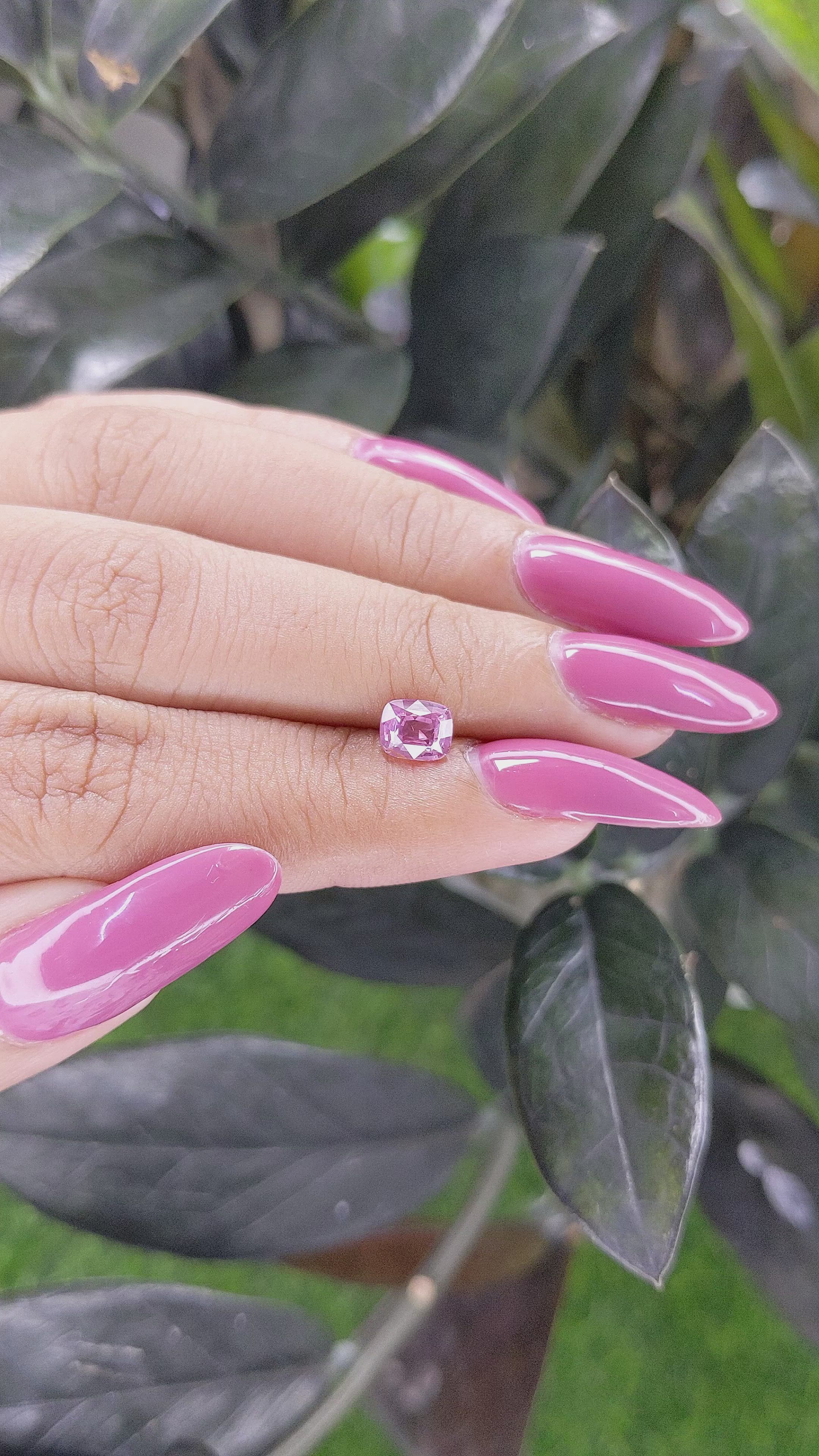 1.02 Ct. Pink Sapphire from Ceylon (Sri Lanka) Size Video