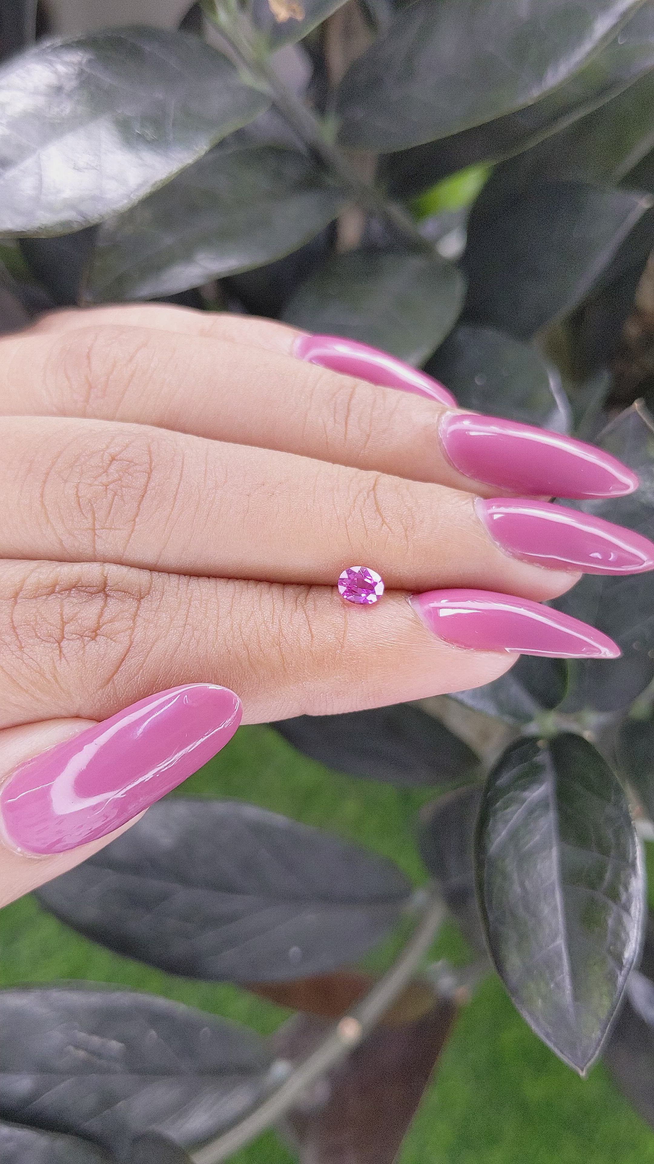 0.45 Ct. Purplish Pink Sapphire from Ceylon (Sri Lanka) Size Video