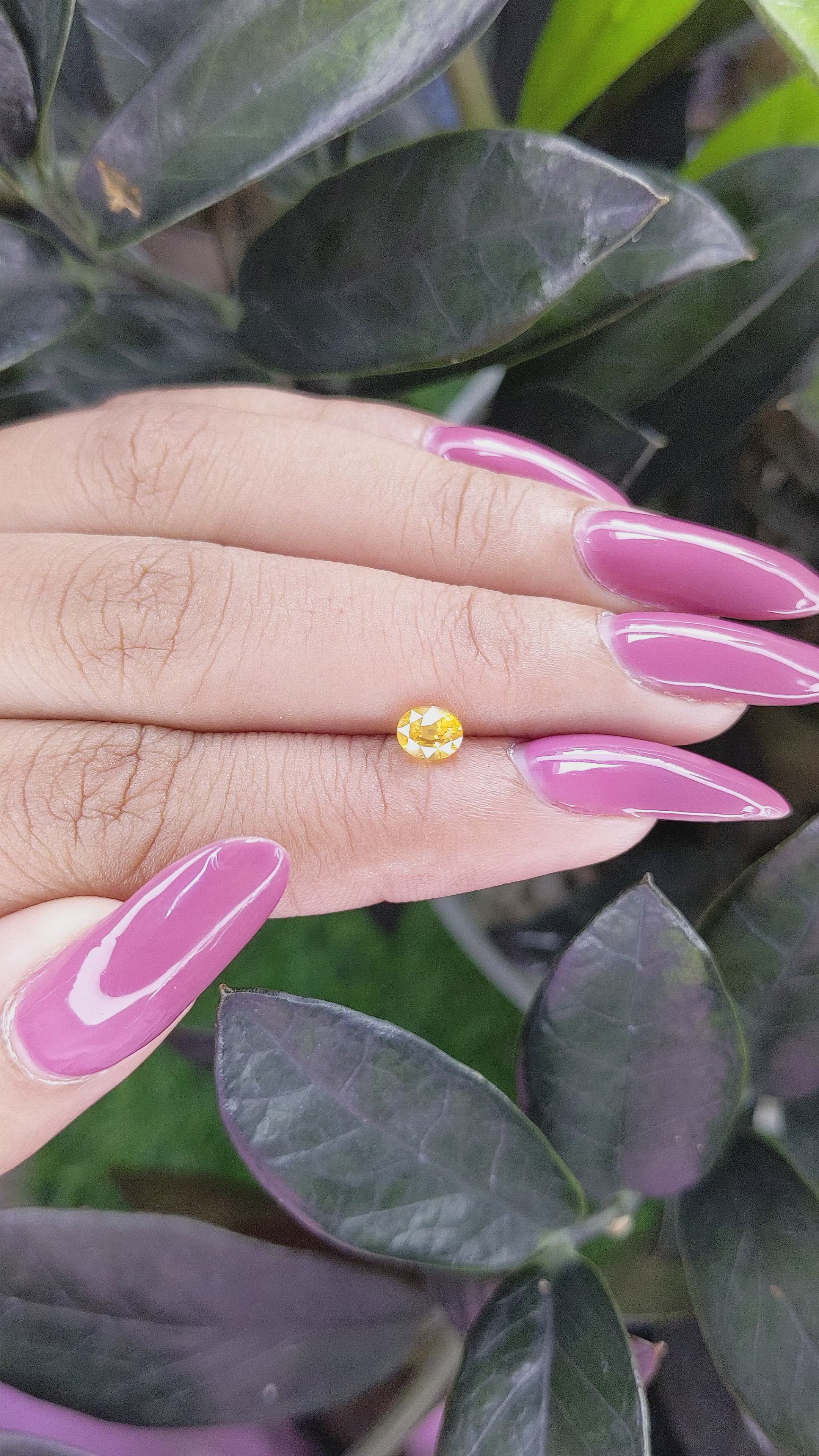 0.64 Ct. Yellow Sapphire from Ceylon (Sri Lanka) Size Video