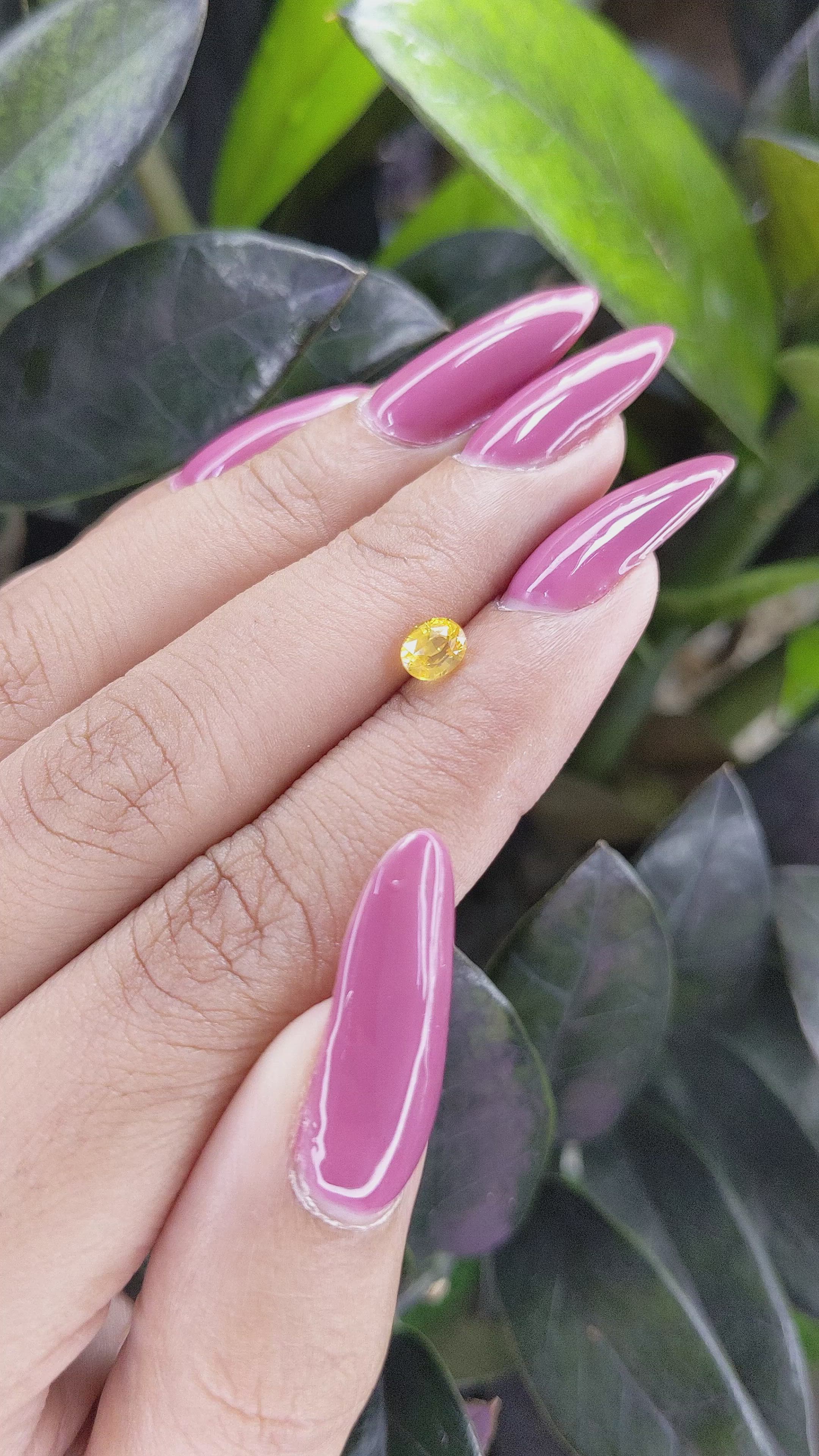 0.64 Ct. Yellow Sapphire from Ceylon (Sri Lanka) Size Video