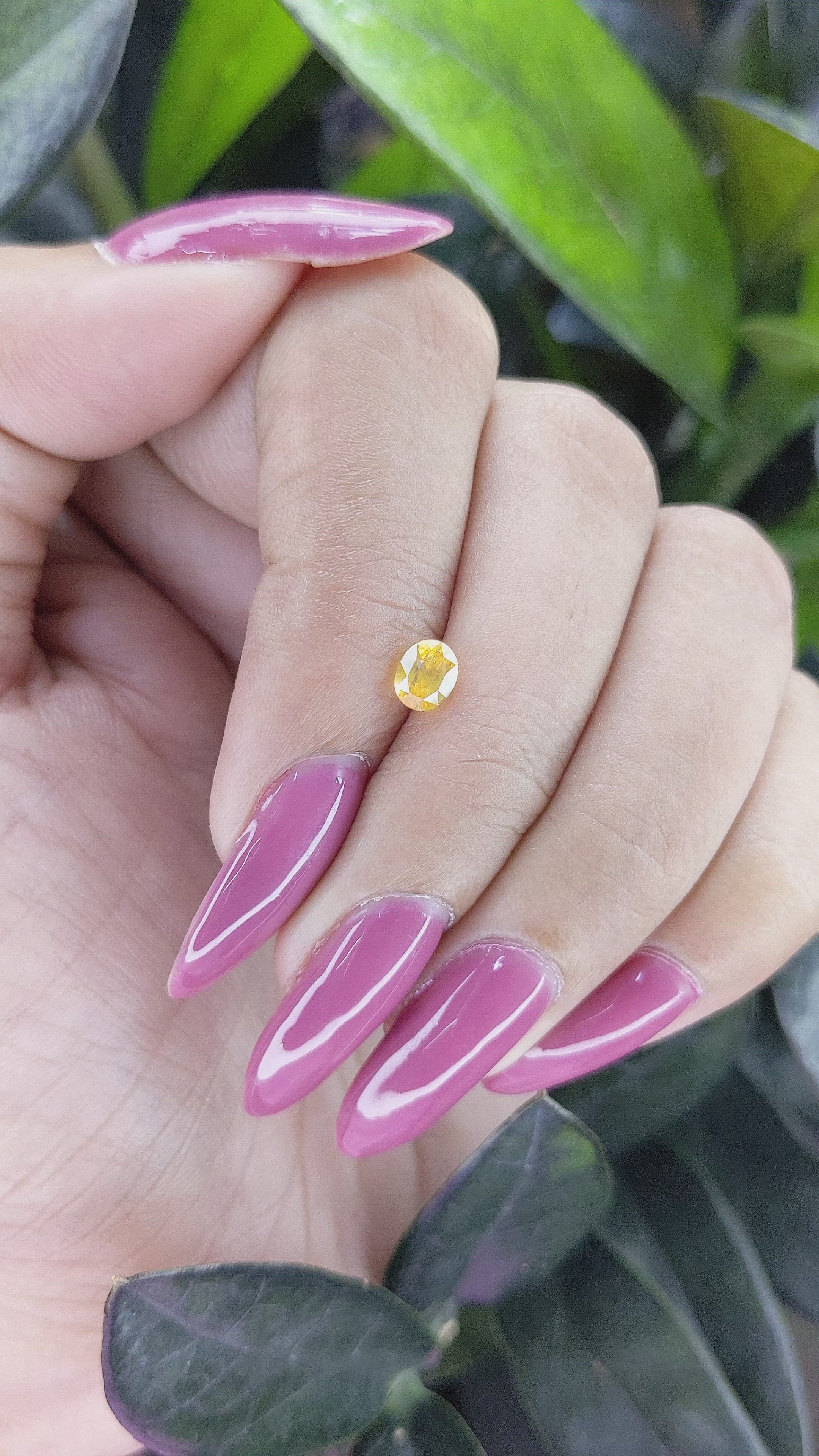 0.64 Ct. Yellow Sapphire from Ceylon (Sri Lanka) Size Video