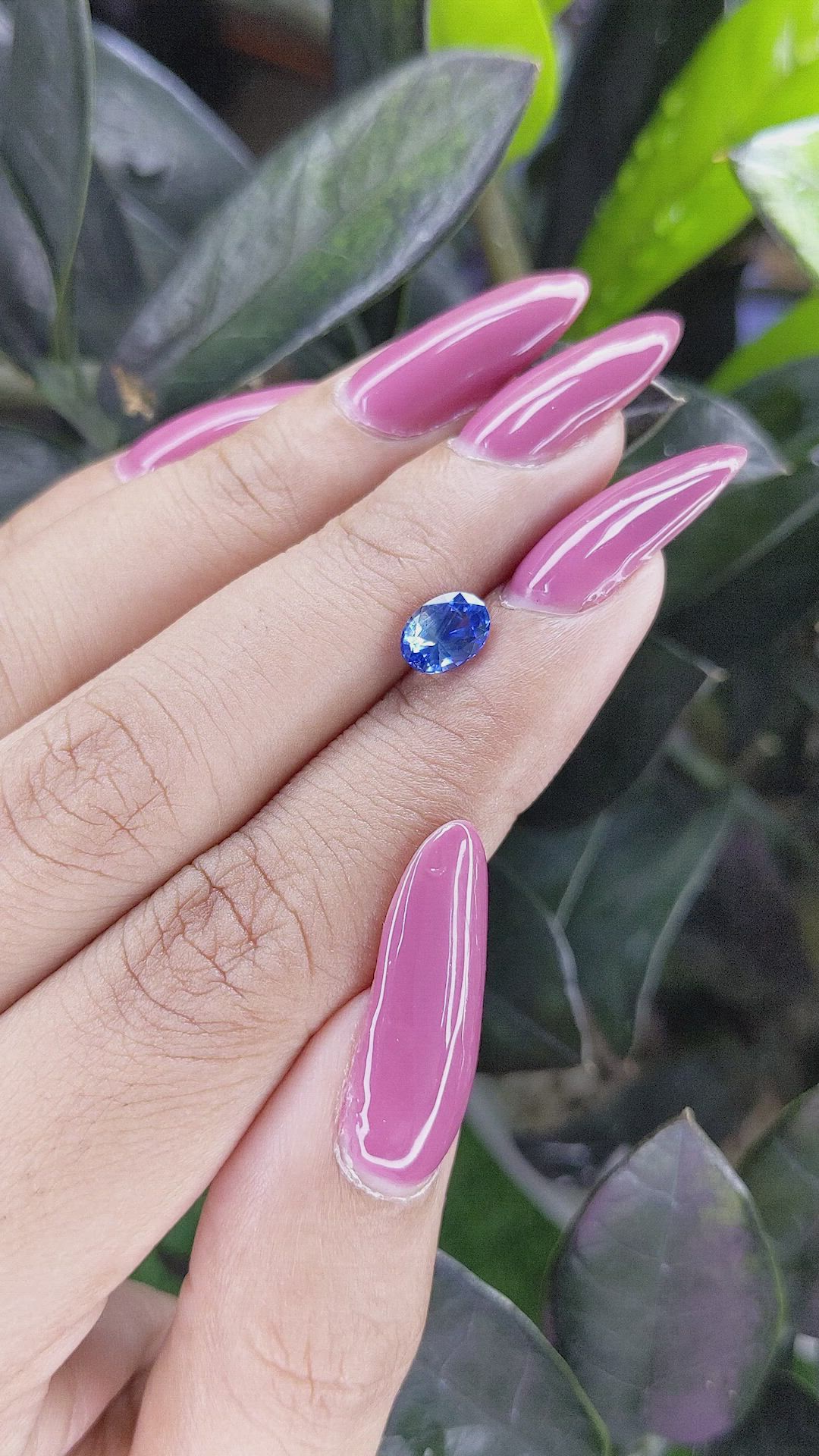 1.12 Ct. Bi Color Sapphire from Ceylon (Sri Lanka) Size Video