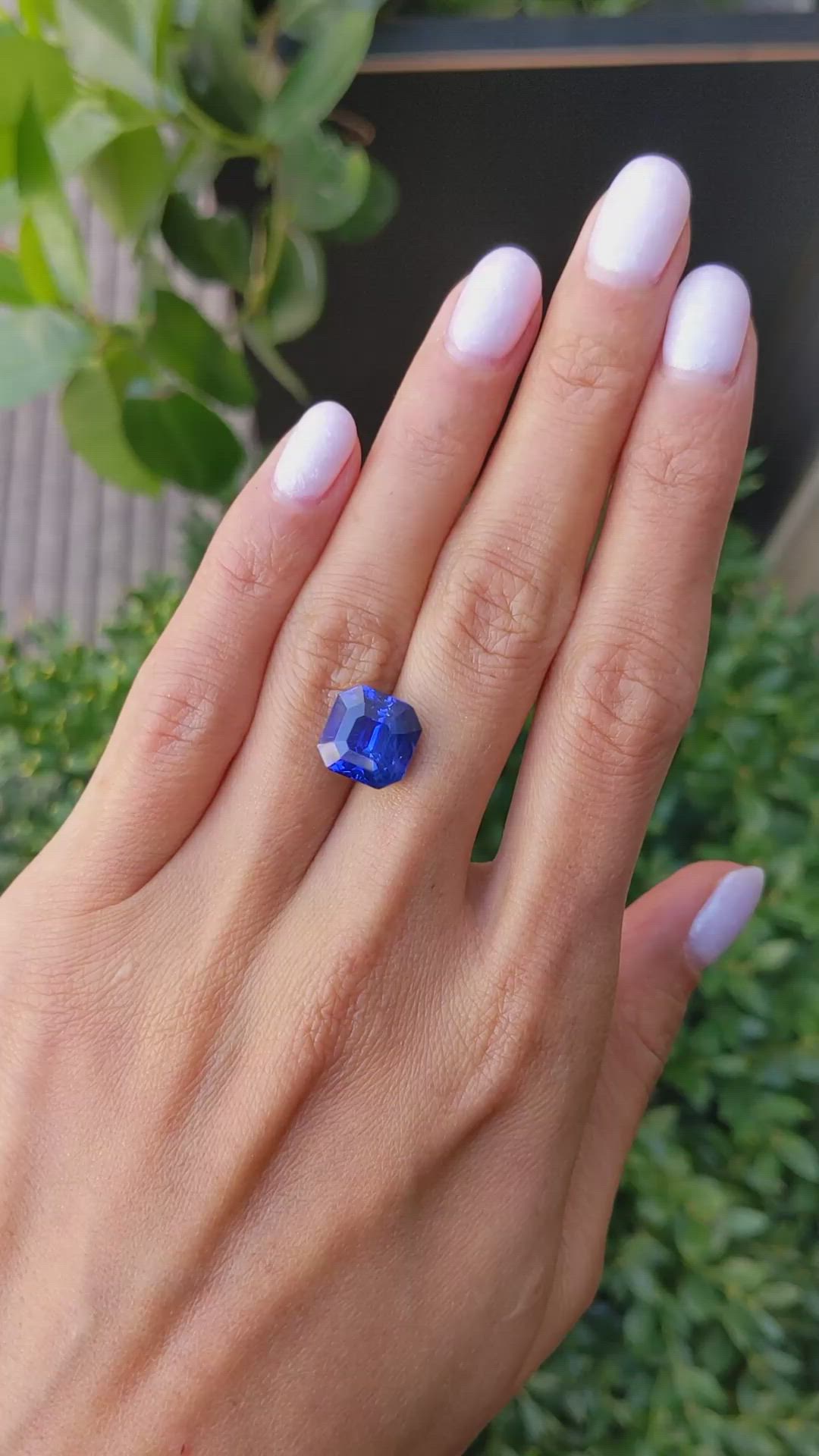 8.30 Ct. Blue Sapphire from Ceylon (Sri Lanka) Size Video
