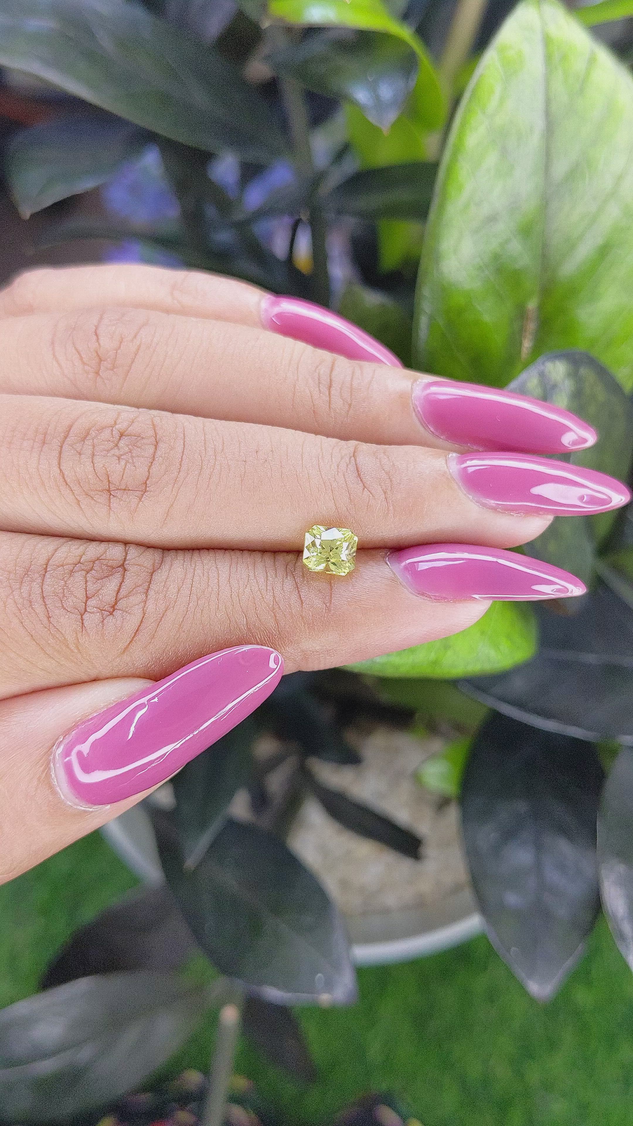 1.11 Ct. Greenish Yellow Sapphire from Madagascar Size Video