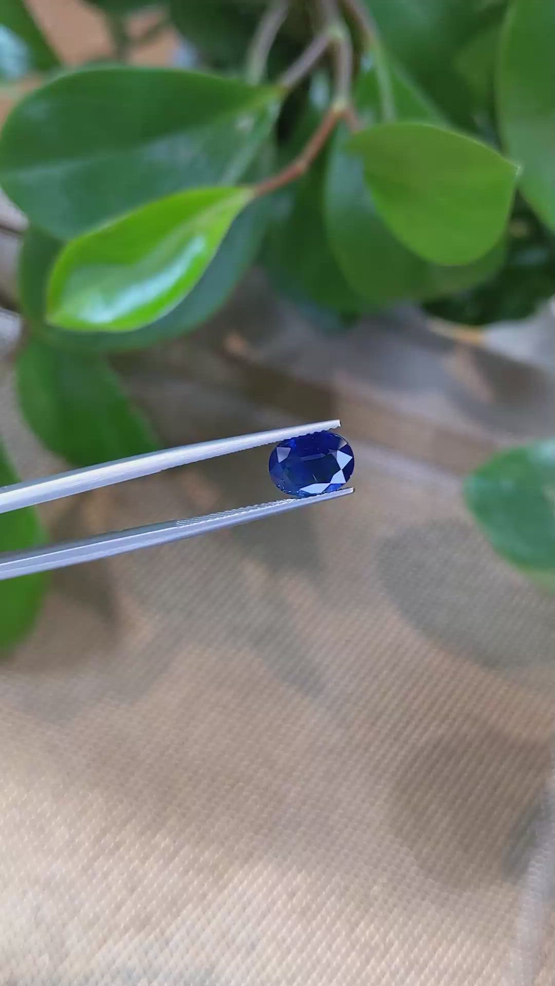 2.61 Ct. Blue Sapphire from Thailand Size Video