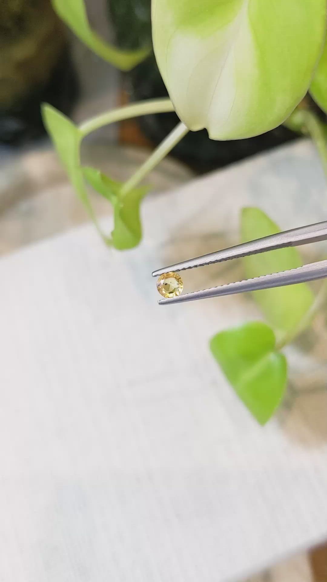 0.21 Ct. Yellow Sapphire from Madagascar Size Video