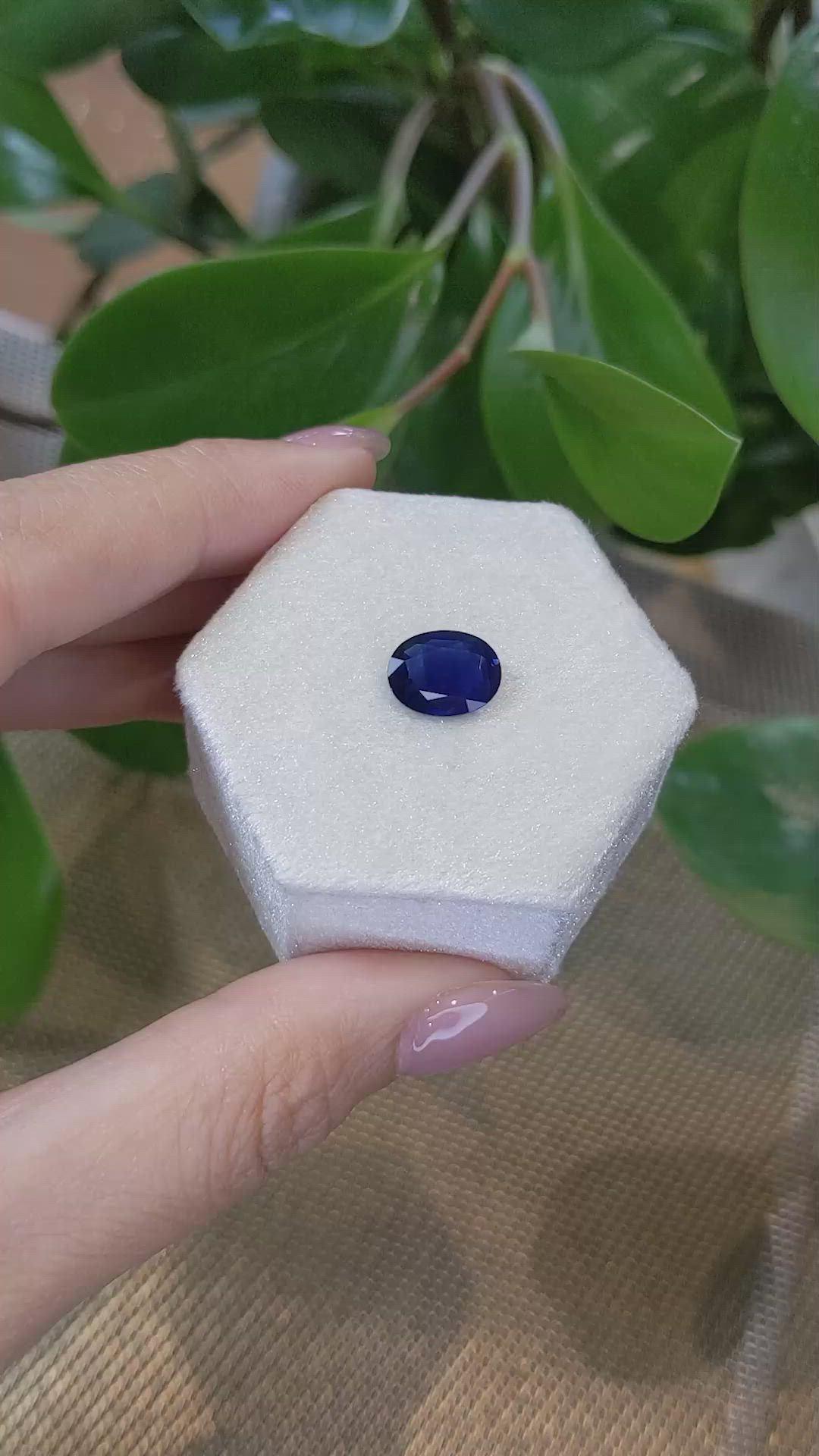 2.64 Ct. Blue Sapphire from Thailand Size Video