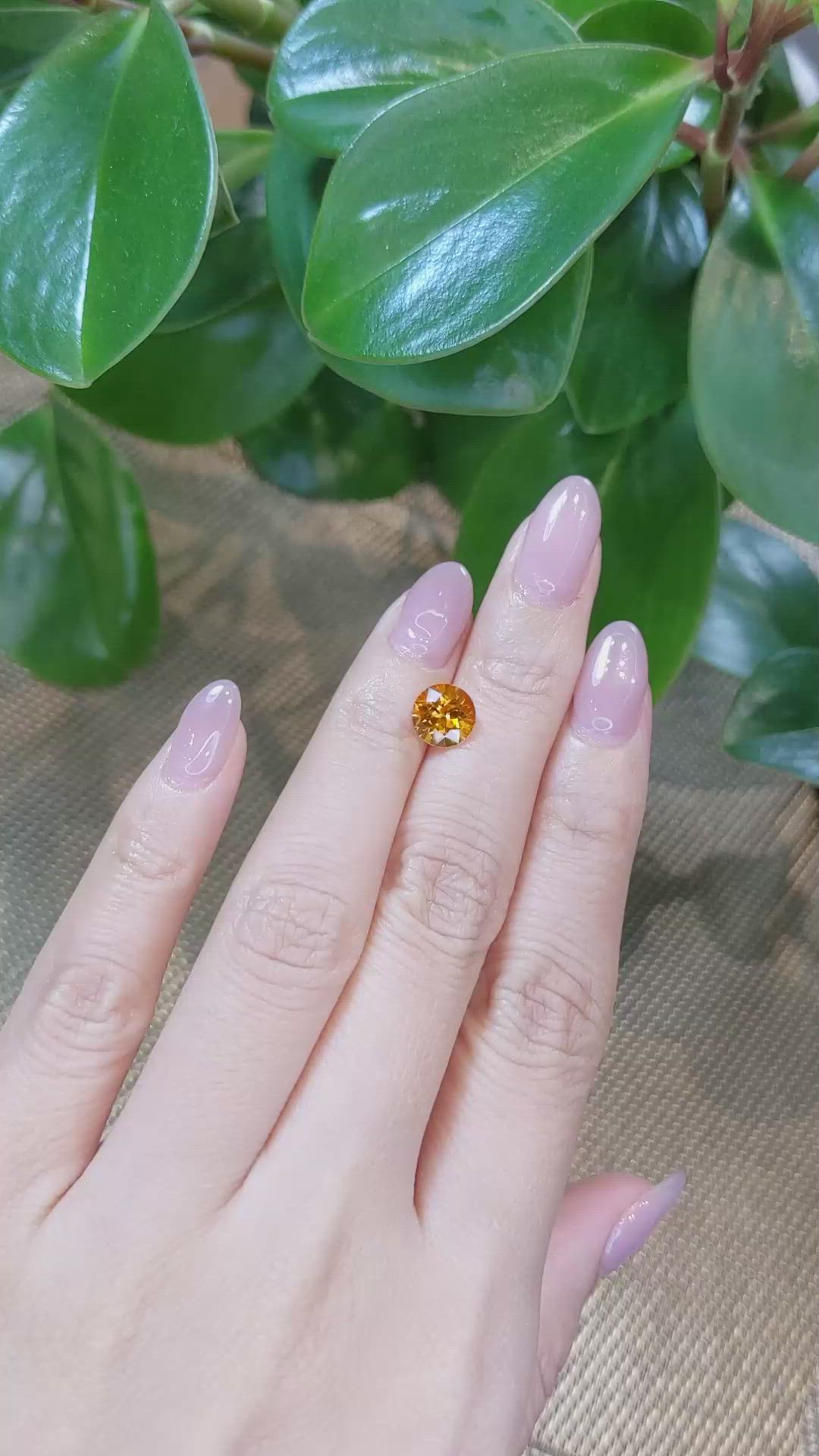 2.03 Ct. Yellowish Orange Sapphire from Ceylon (Sri Lanka) Size Video