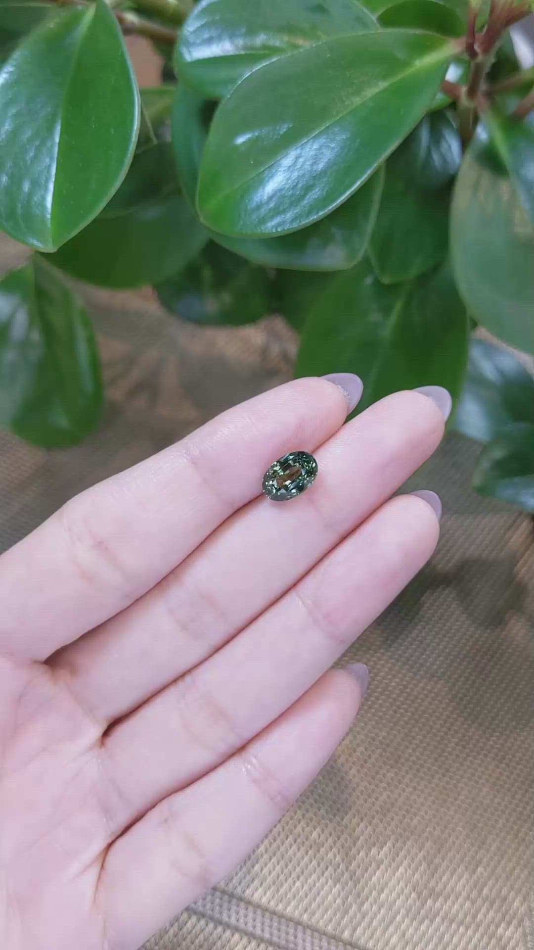 2.54 Ct. Yellowish Green Sapphire from Ceylon (Sri Lanka) Size Video