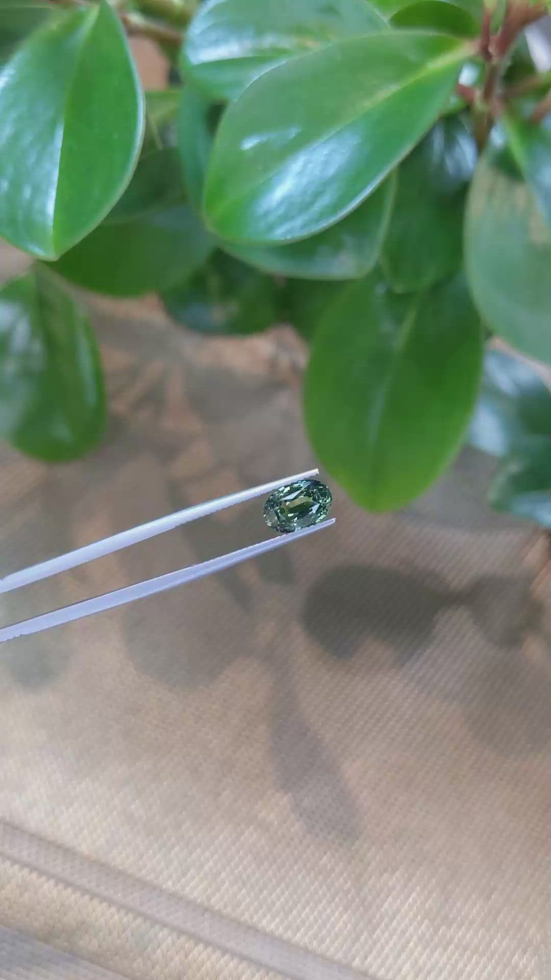 2.54 Ct. Yellowish Green Sapphire from Ceylon (Sri Lanka) Size Video