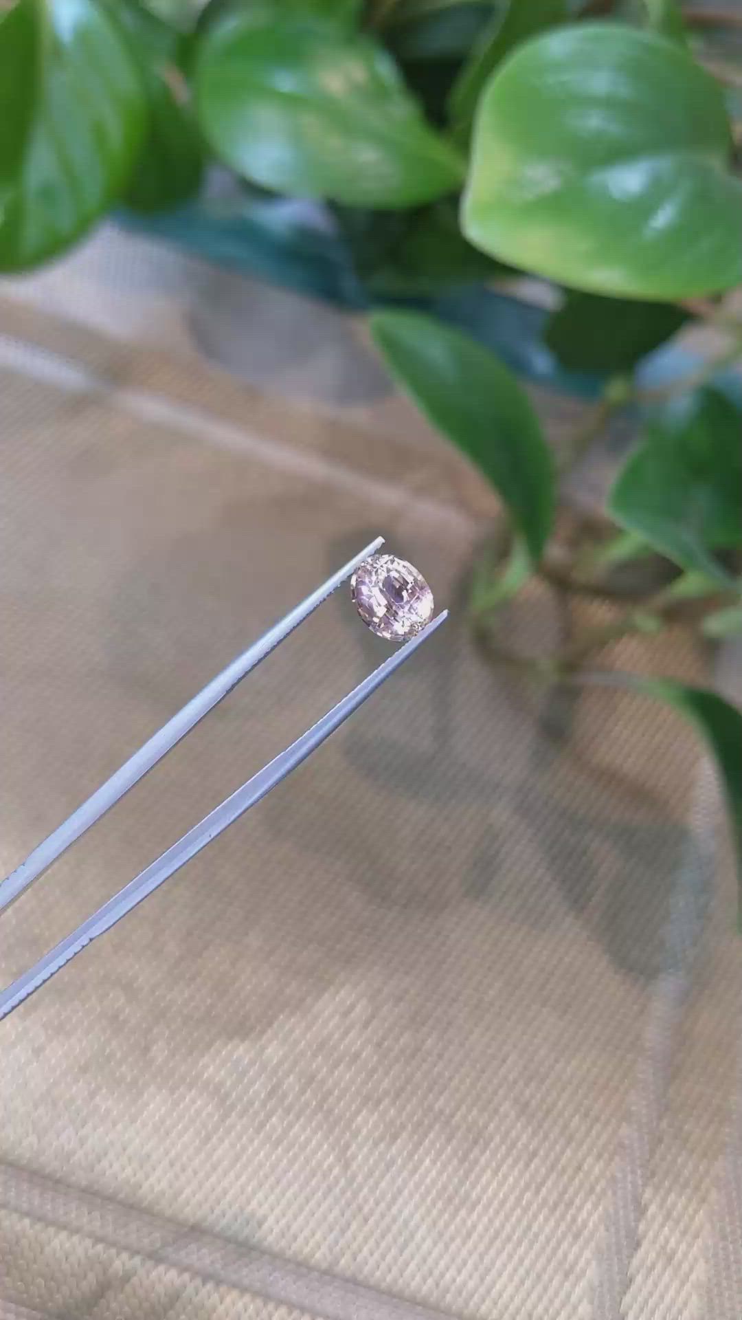 2.21 Ct. Peach Sapphire from Ceylon (Sri Lanka) Size Video