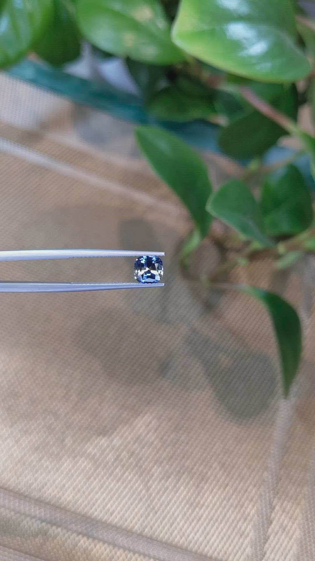 1.14 Ct. Bi Color Sapphire from Ceylon (Sri Lanka) Size Video