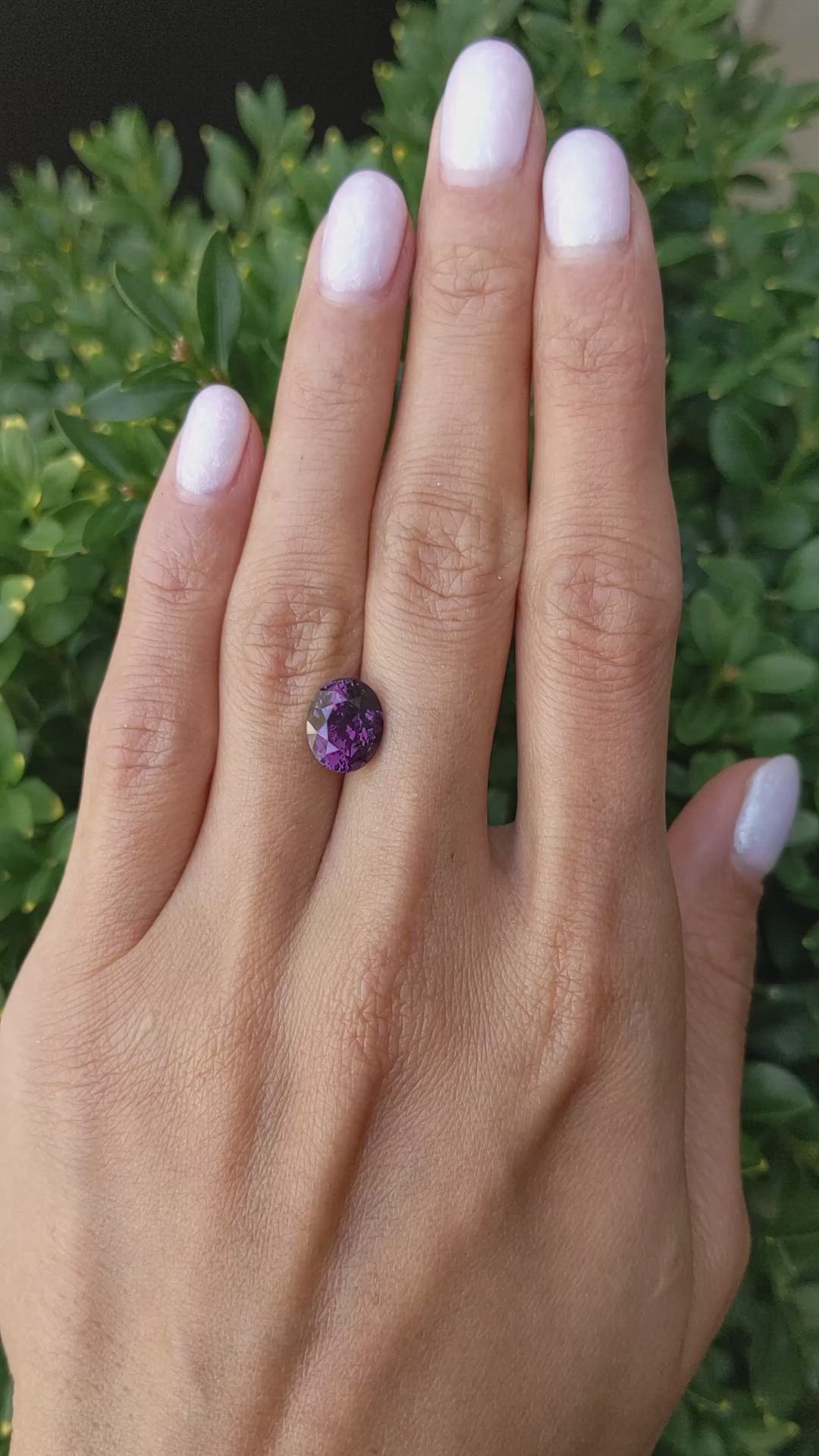 4.23 Ct. Purple Sapphire from Ceylon (Sri Lanka) Size Video