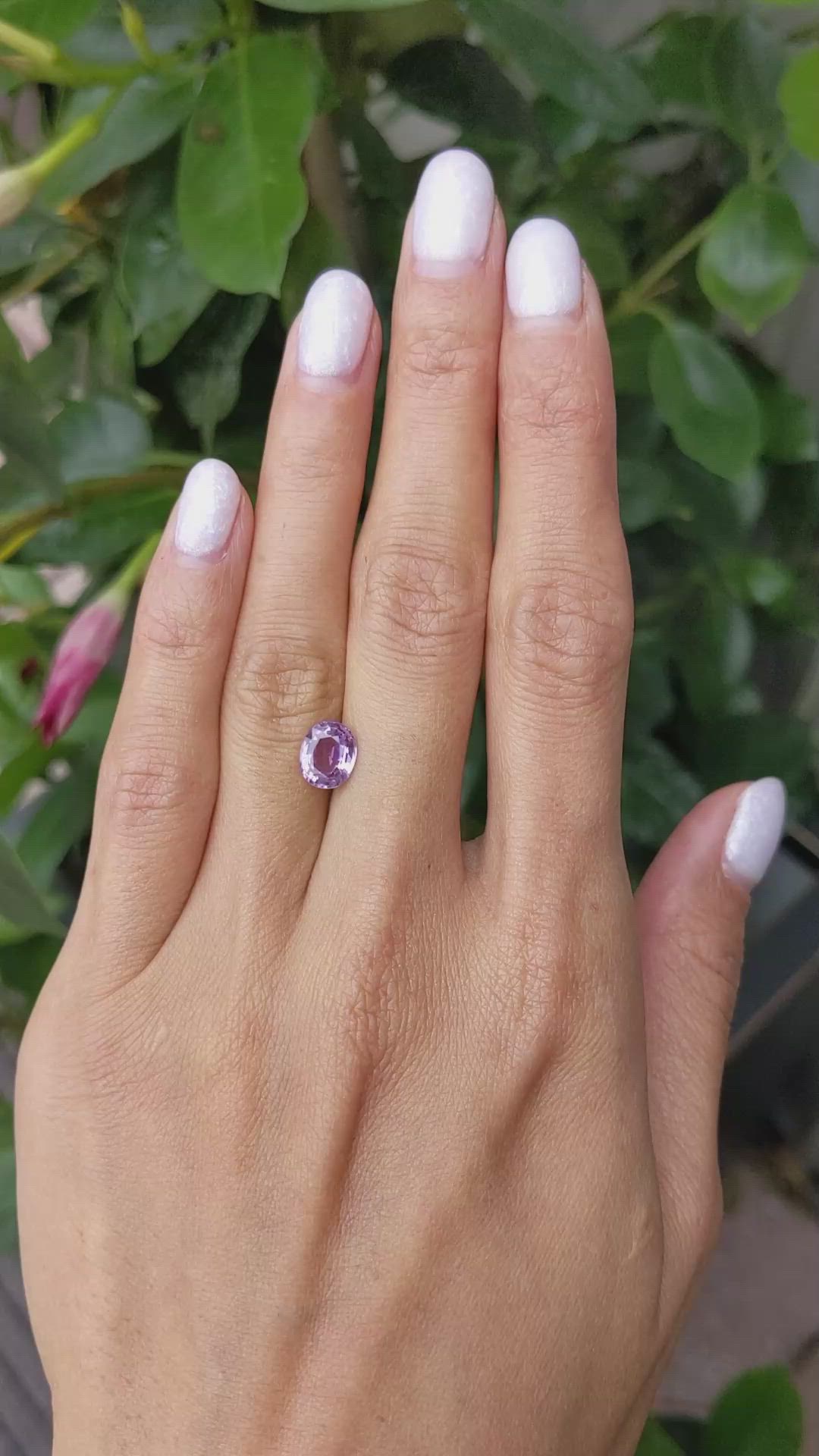 2.00 Ct. Pinkish Purple Sapphire from Ceylon (Sri Lanka) Size Video