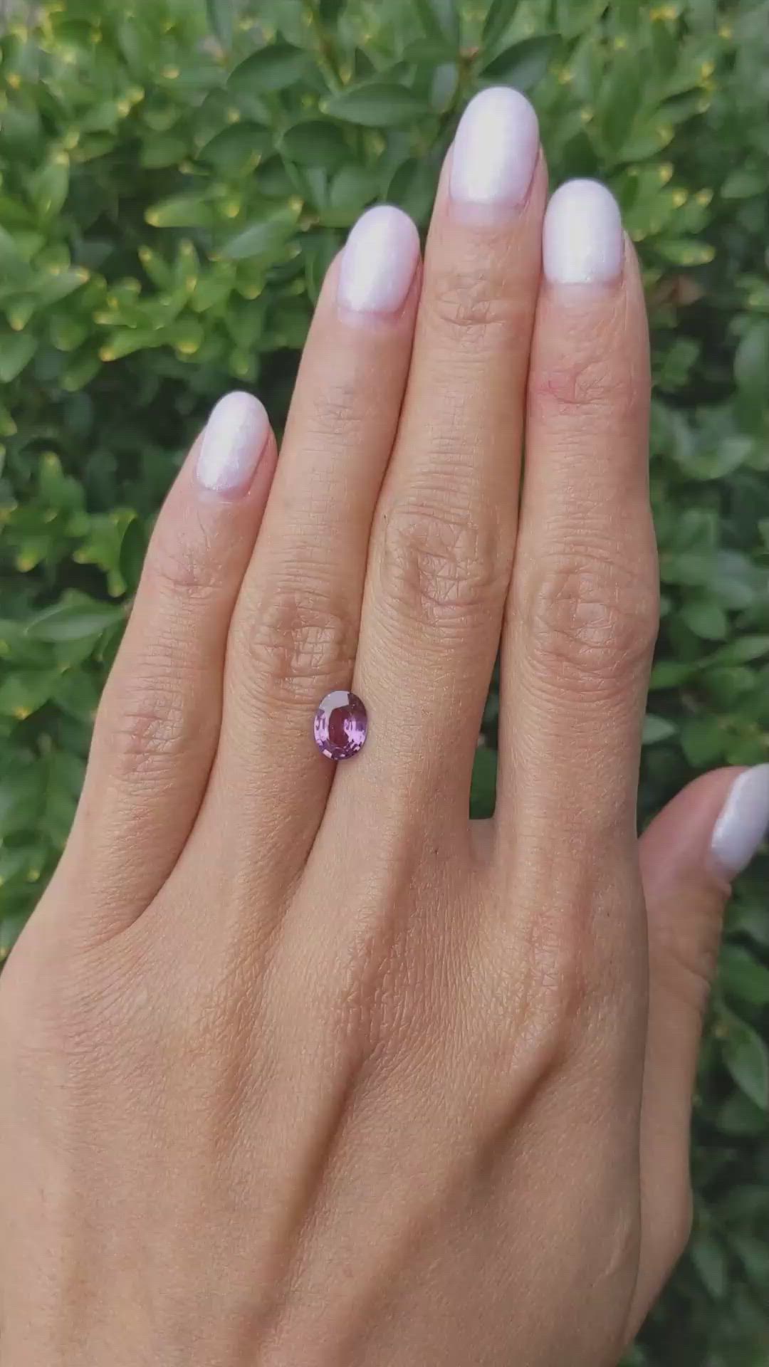 1.24 Ct. Purplish Pink Sapphire from Ceylon (Sri Lanka) Size Video