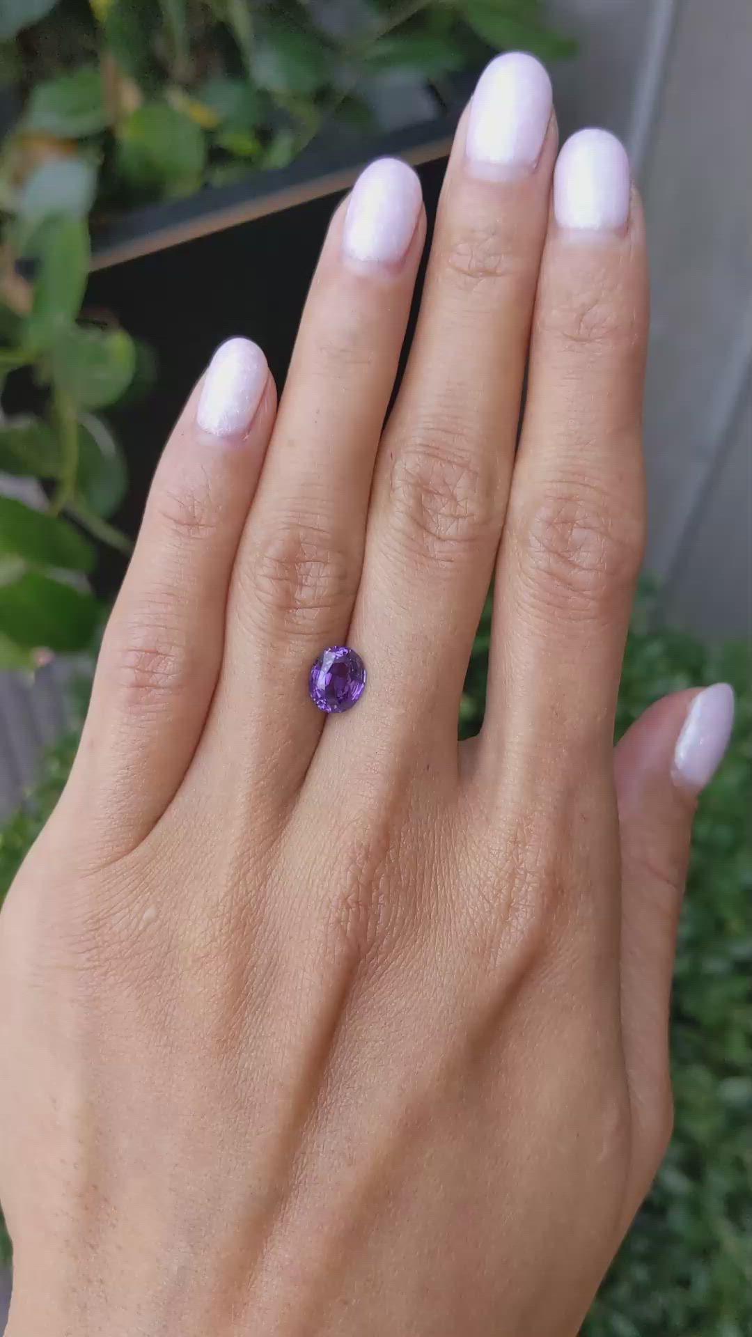 1.95 Ct. Bluish Purple Sapphire from Ceylon (Sri Lanka) Size Video