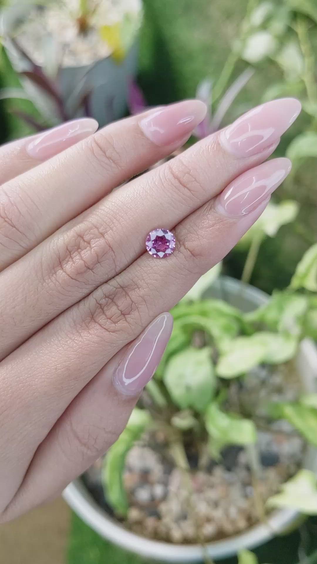 1.33 Ct. Purplish Pink Sapphire from Madagascar Size Video