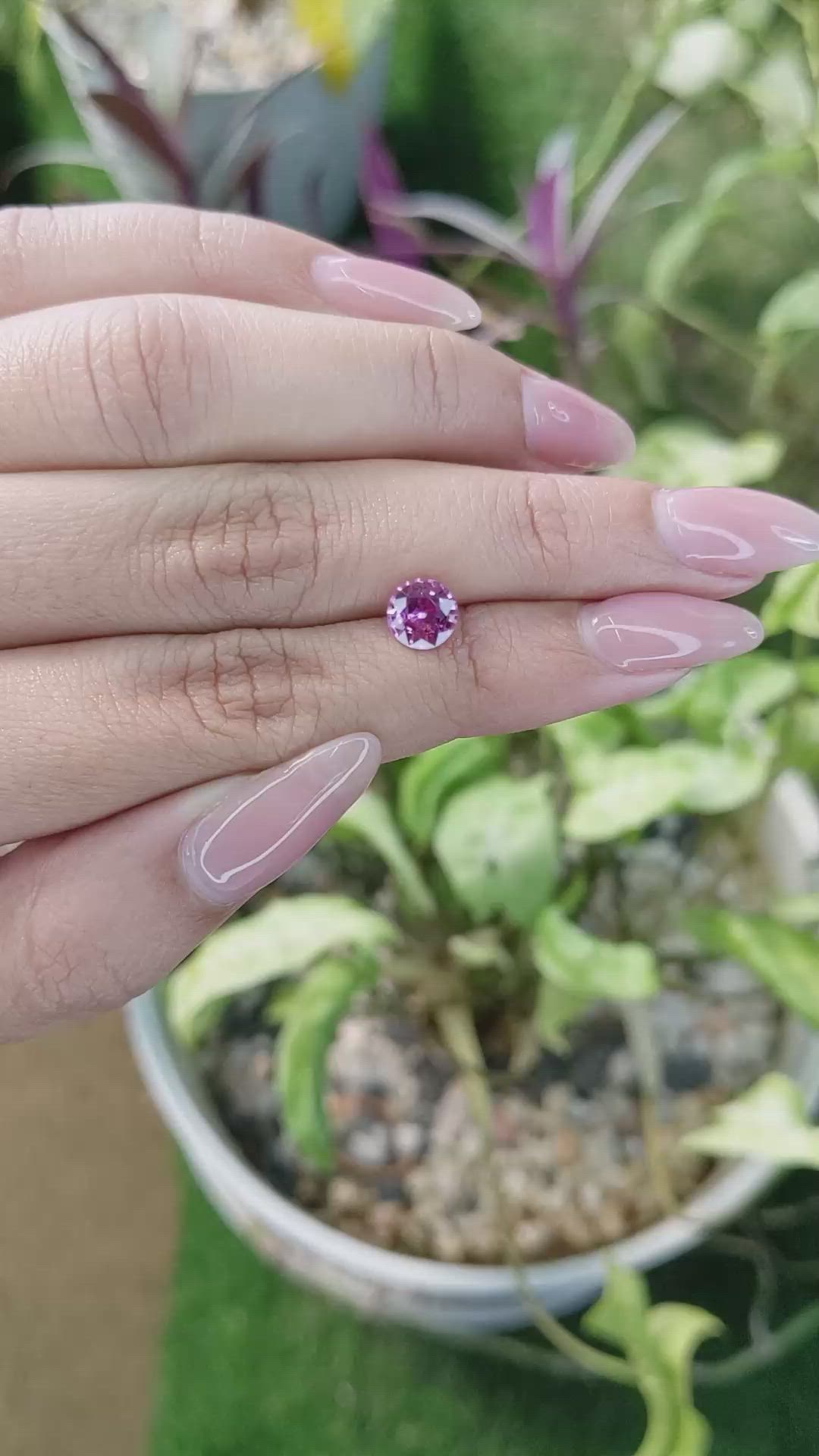 1.33 Ct. Purplish Pink Sapphire from Madagascar Size Video