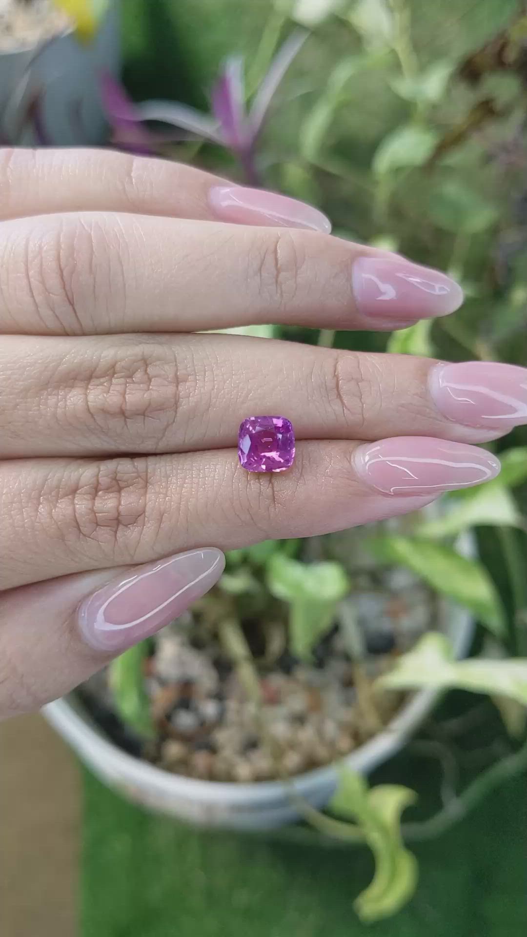 2.05 Ct. Purplish Pink Sapphire from Madagascar Size Video
