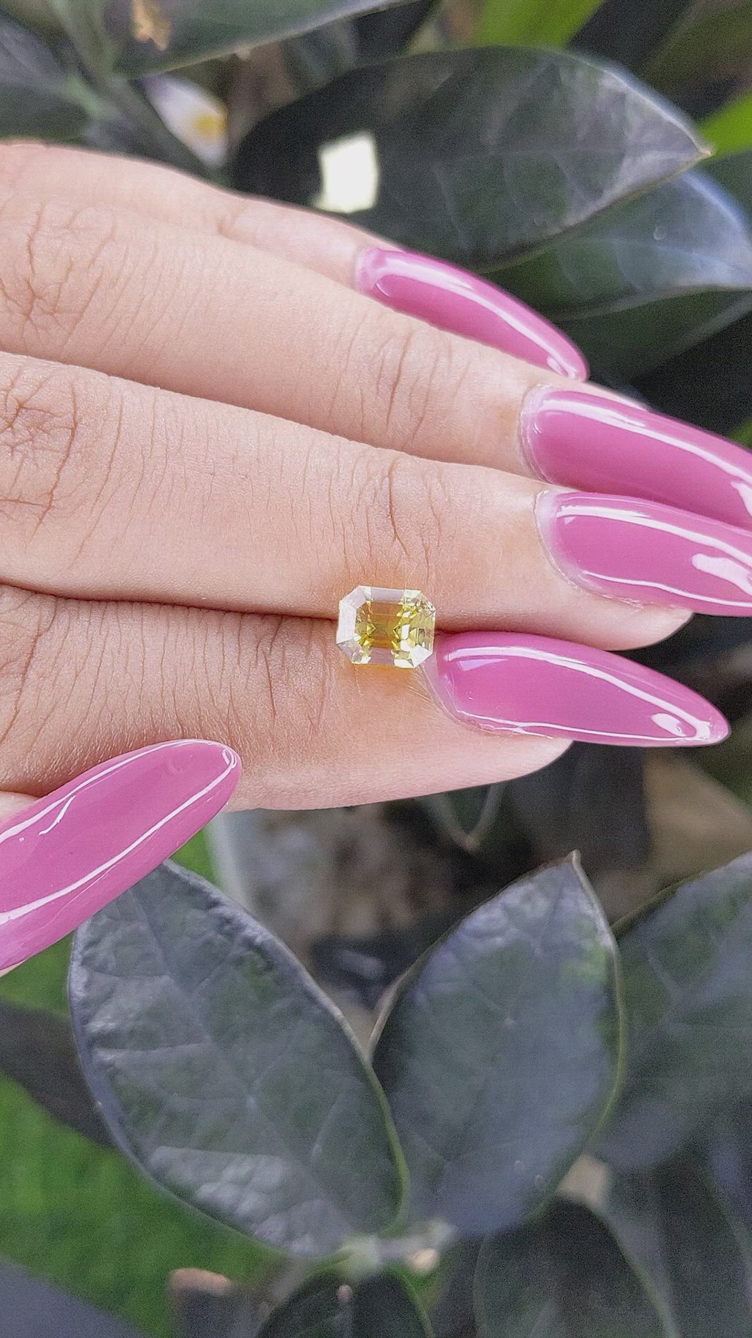 1.53 Ct. Yellow Sapphire from Ceylon (Sri Lanka) Size Video