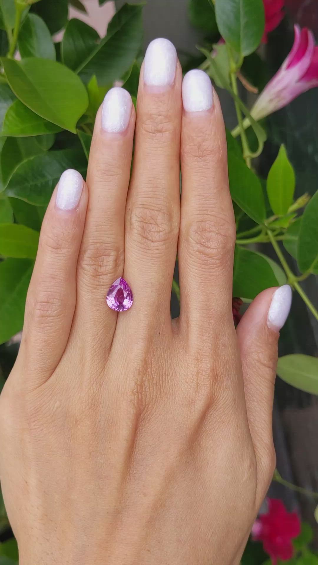 2.55 Ct. Pink Sapphire from Ceylon (Sri Lanka) Size Video