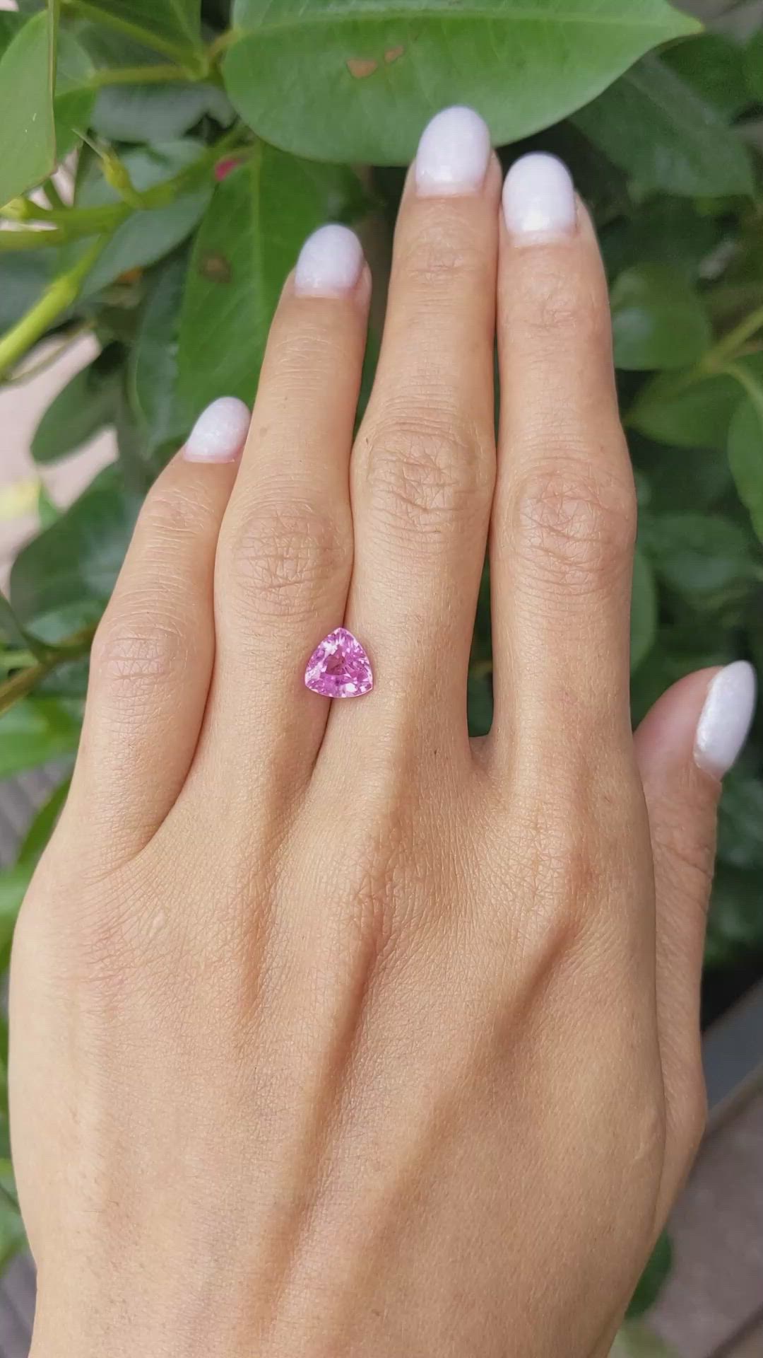 2.45 Ct. Pink Sapphire from Ceylon (Sri Lanka) Size Video