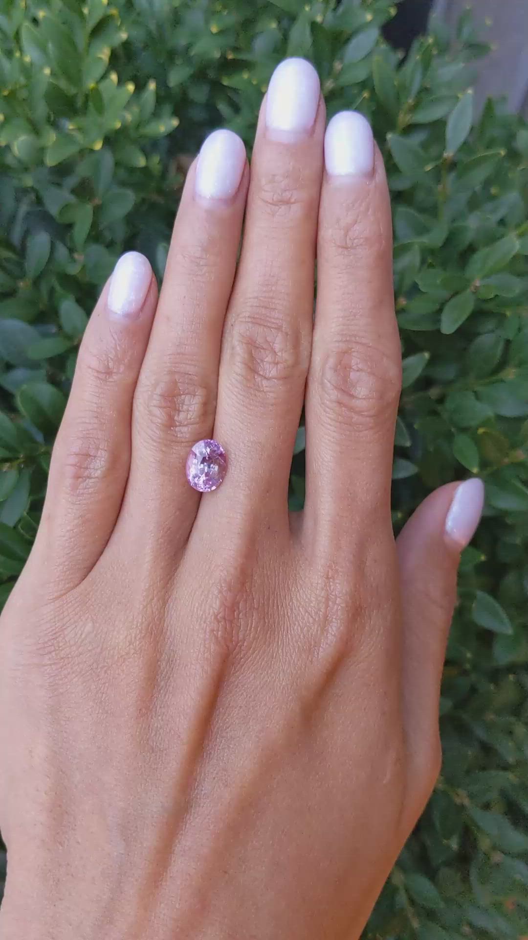 3.16 Ct. Purplish Pink Sapphire from Ceylon (Sri Lanka) Size Video