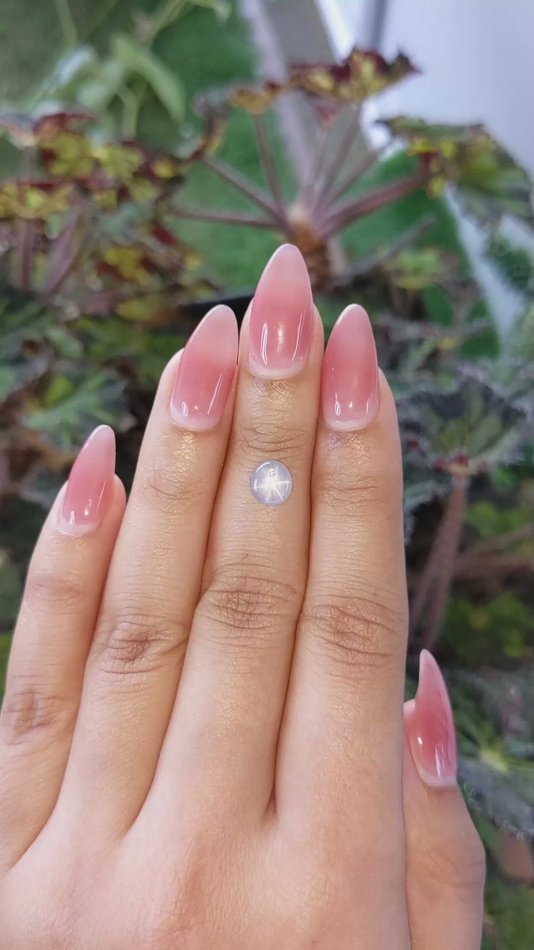 1.21 Ct. Greyish Blue Star Sapphire from Ceylon (Sri Lanka) Size Video