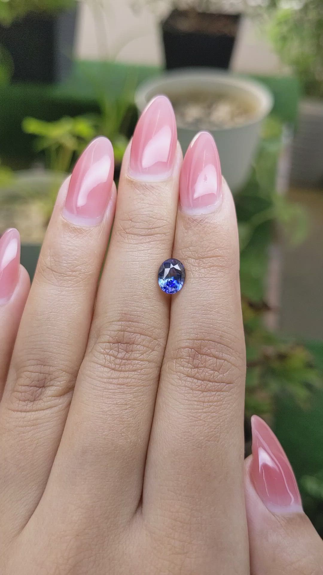 1.55 Ct. Bi Color Sapphire from Ceylon (Sri Lanka) Size Video
