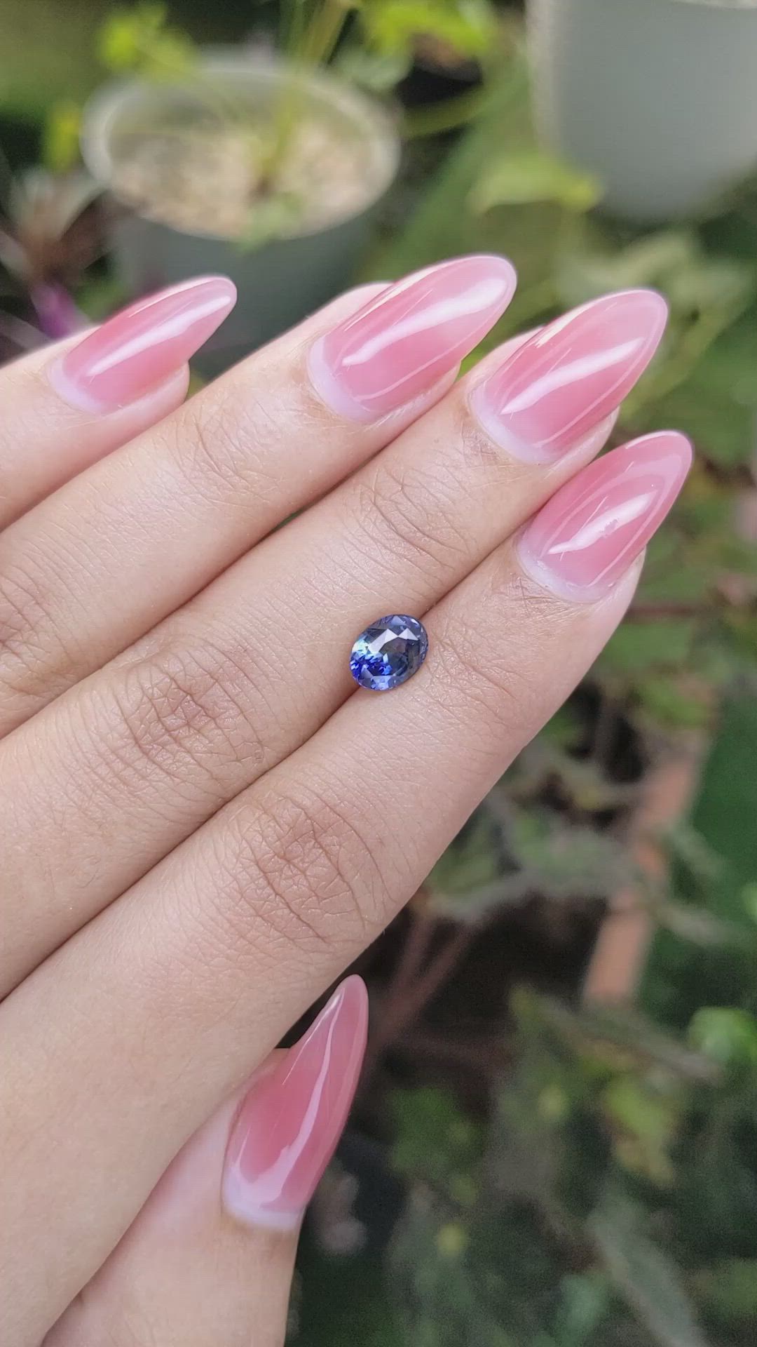 1.55 Ct. Bi Color Sapphire from Ceylon (Sri Lanka) Size Video