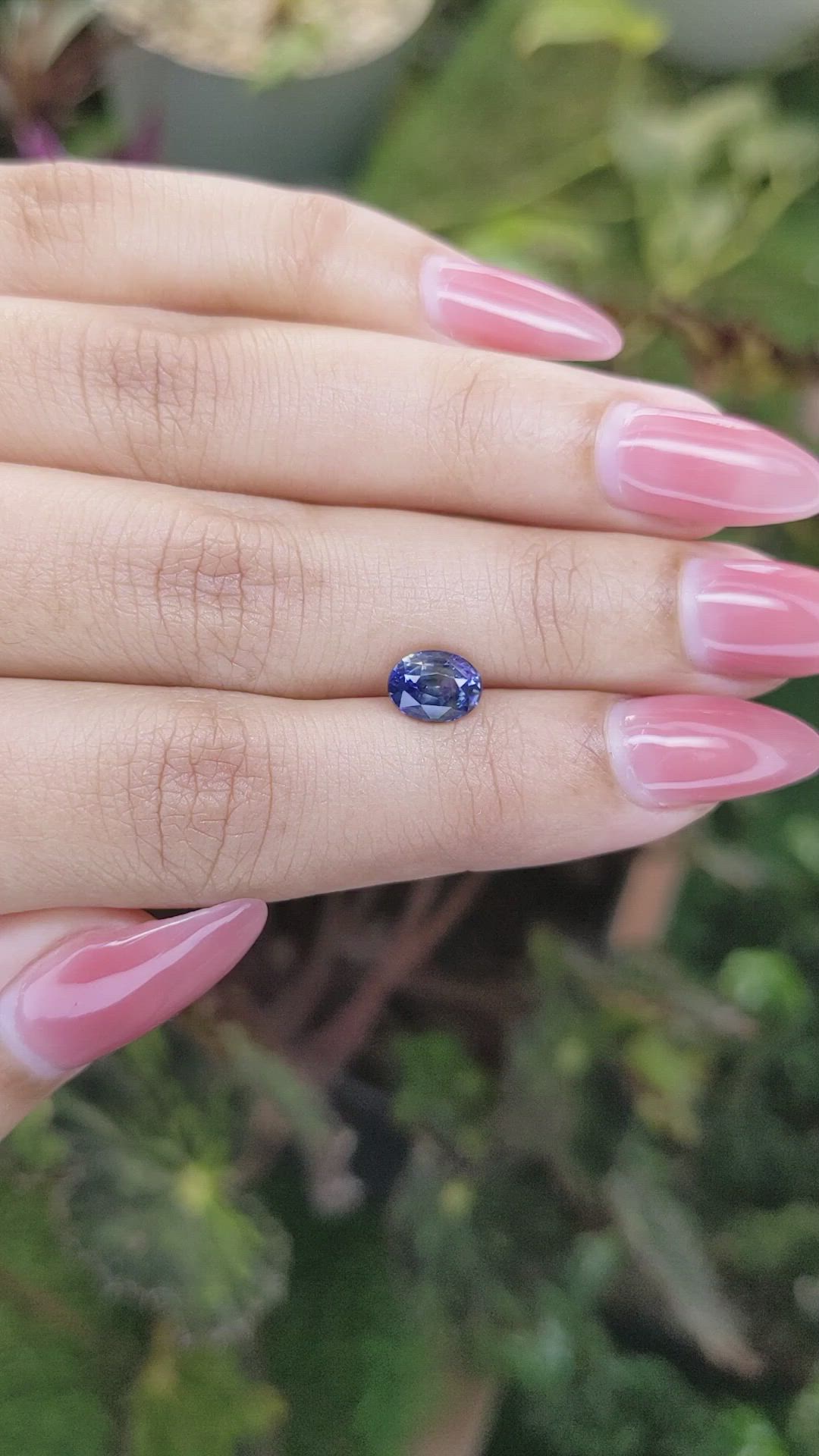 1.55 Ct. Bi Color Sapphire from Ceylon (Sri Lanka) Size Video