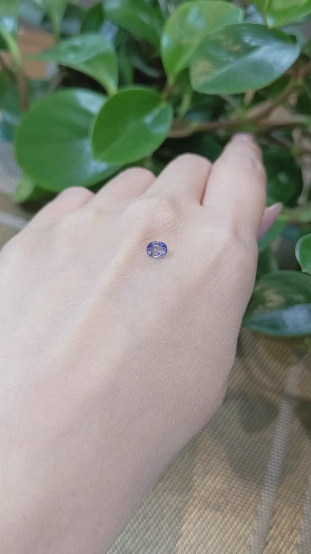 0.43 Ct. Bi Color Sapphire from Ceylon (Sri Lanka) Size Video