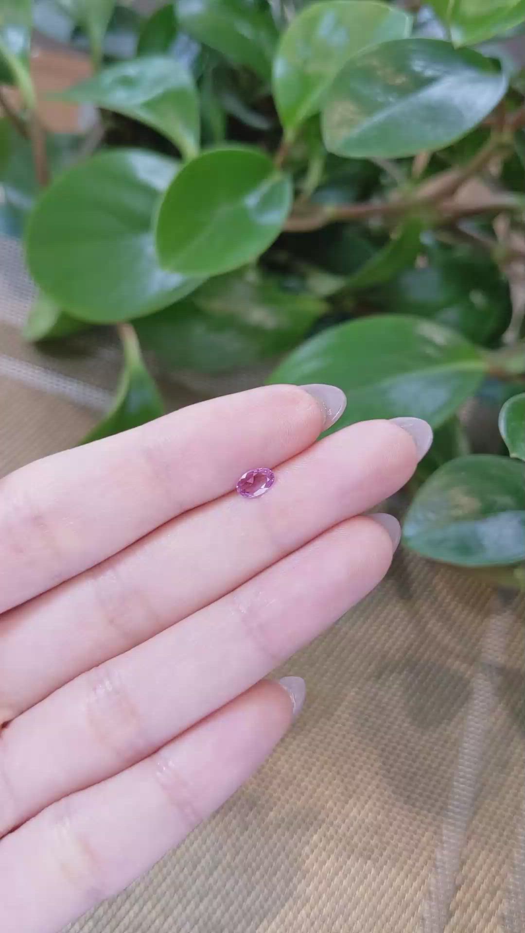 0.33 Ct. Pink Sapphire from Ceylon (Sri Lanka) Size Video