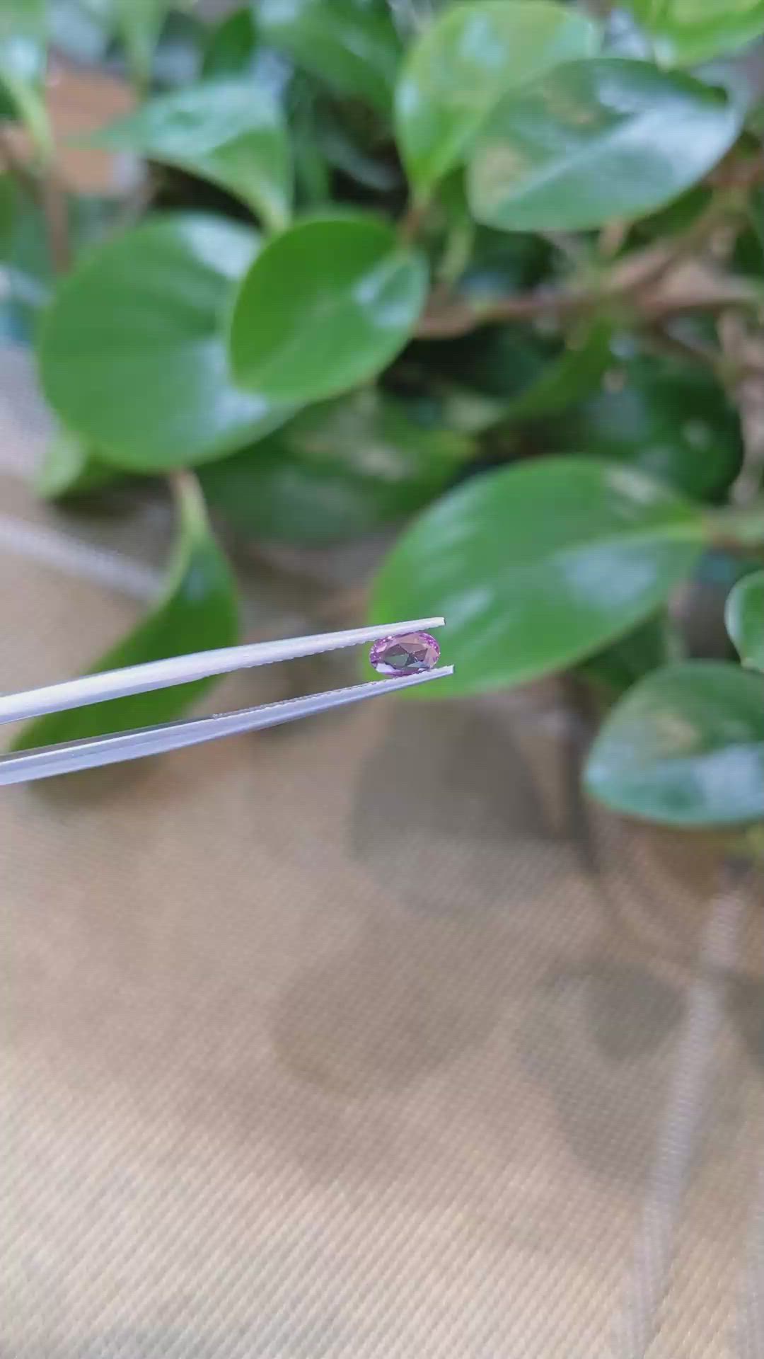 0.33 Ct. Pink Sapphire from Ceylon (Sri Lanka) Size Video