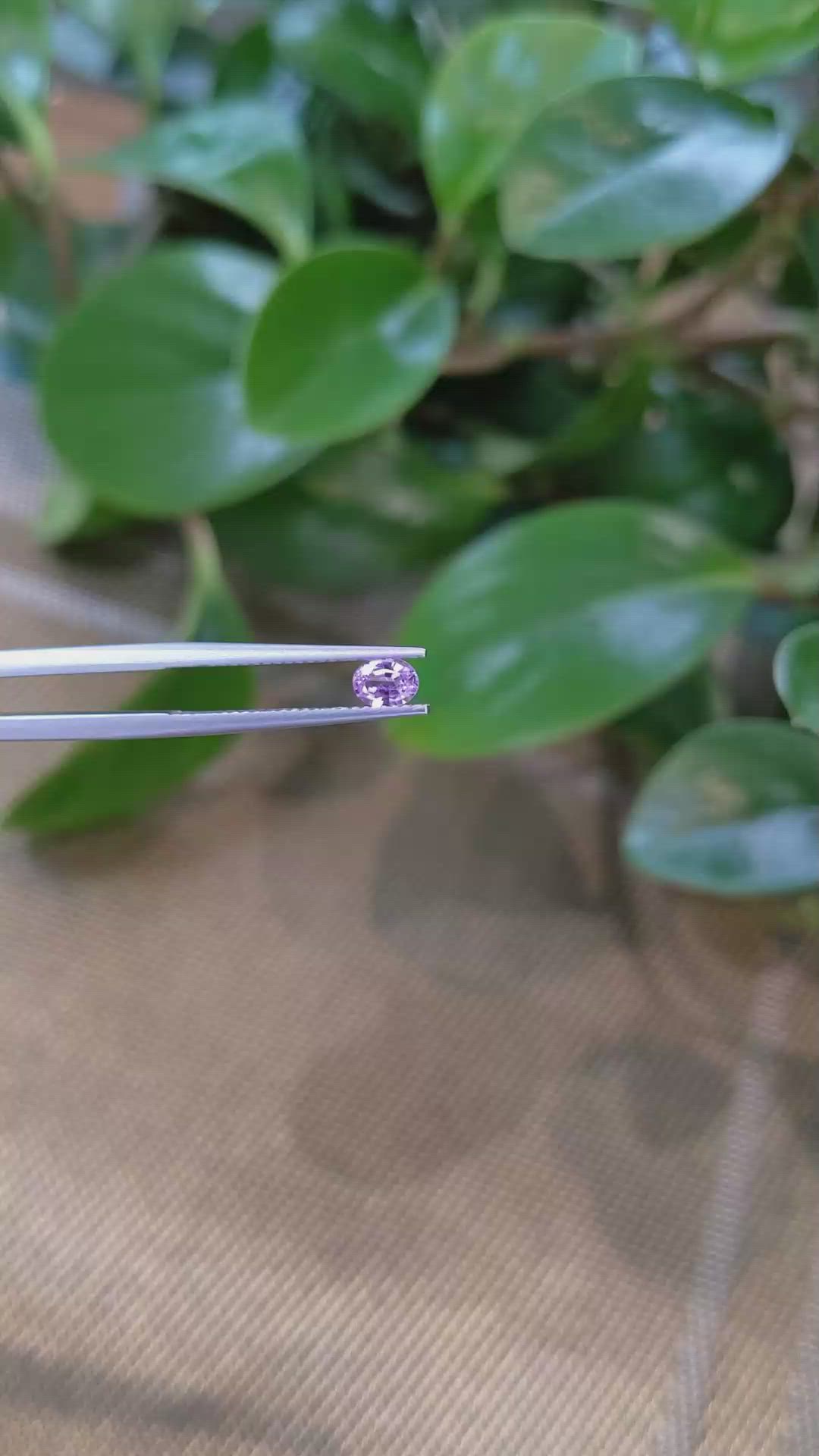 0.36 Ct. Pink Sapphire from Ceylon (Sri Lanka) Size Video