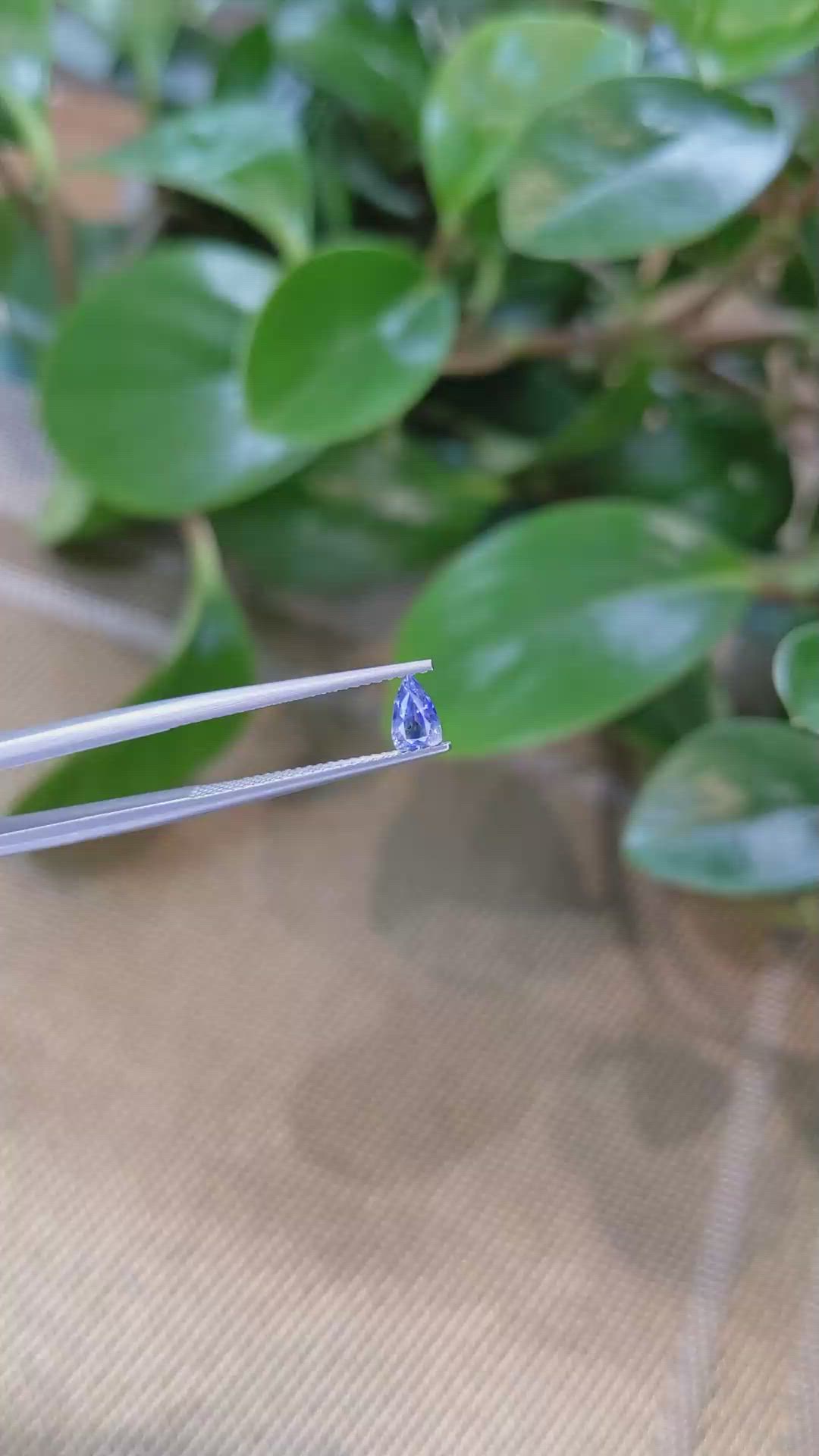 0.44 Ct. Bi Color Sapphire from Ceylon (Sri Lanka) Size Video