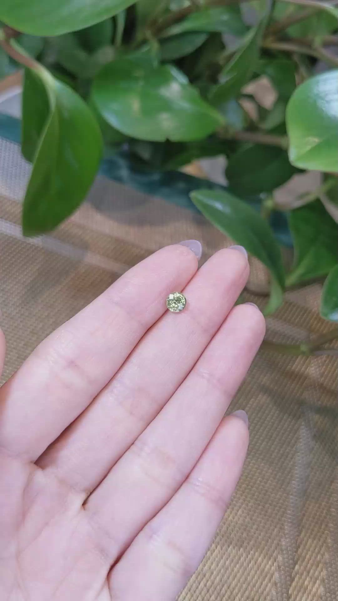 0.69 Ct. Yellowish Green Sapphire from Madagascar Size Video
