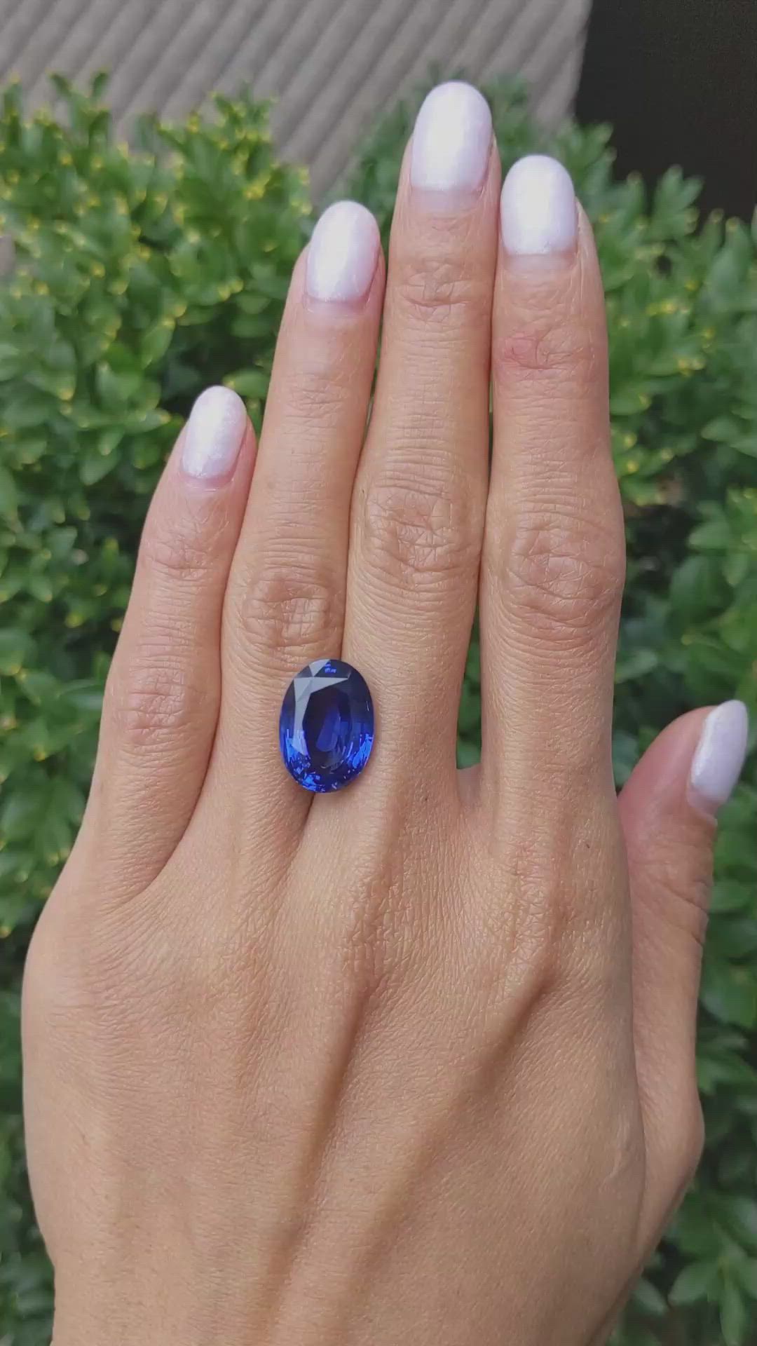 11.66 Ct. Blue Sapphire from Ceylon (Sri Lanka) Size Video
