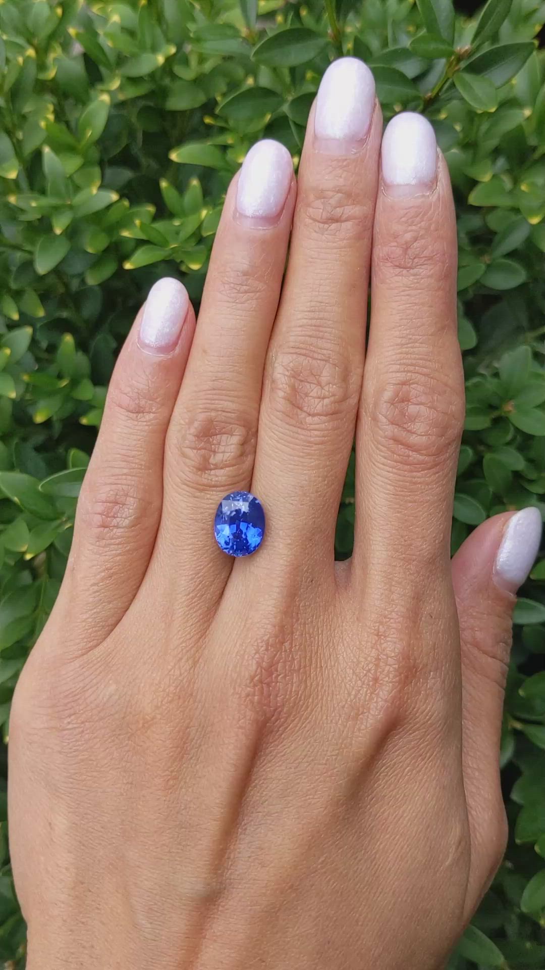 5.37 Ct. Blue Sapphire from Ceylon (Sri Lanka) Size Video