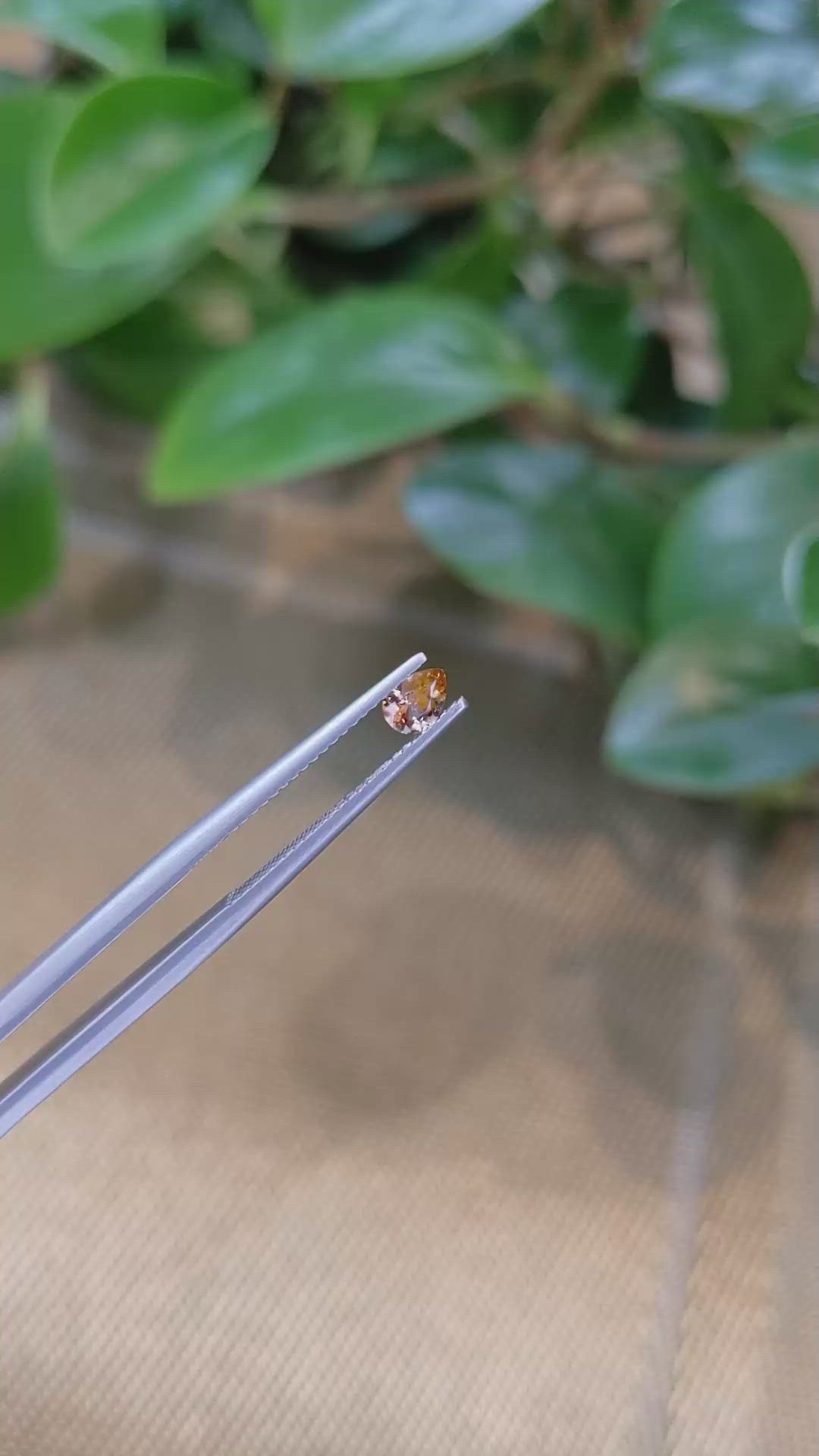 0.29 Ct. Bi Color Sapphire from Montana Size Video