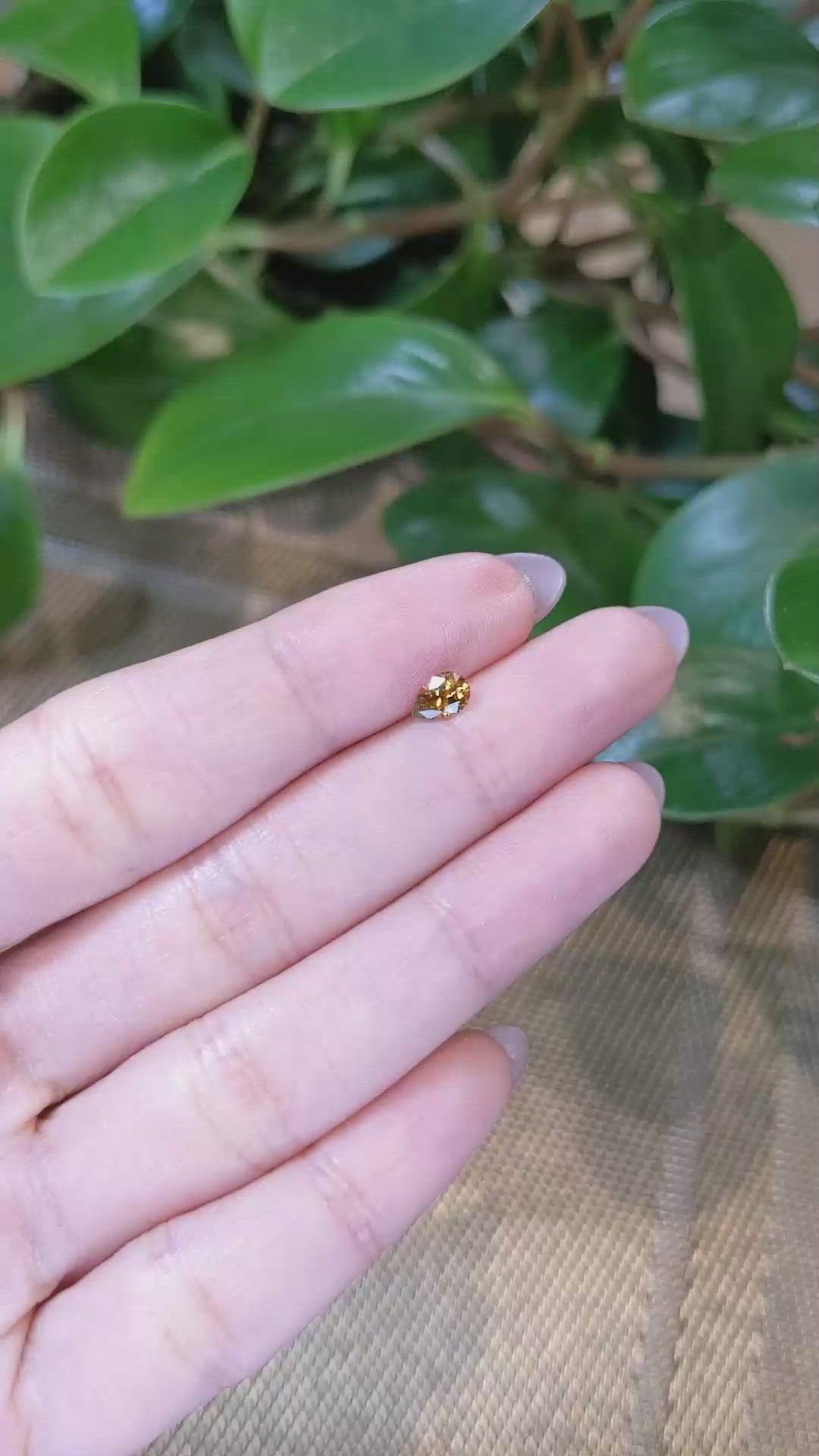 0.46 Ct. Greenish Yellow Sapphire from Montana Size Video