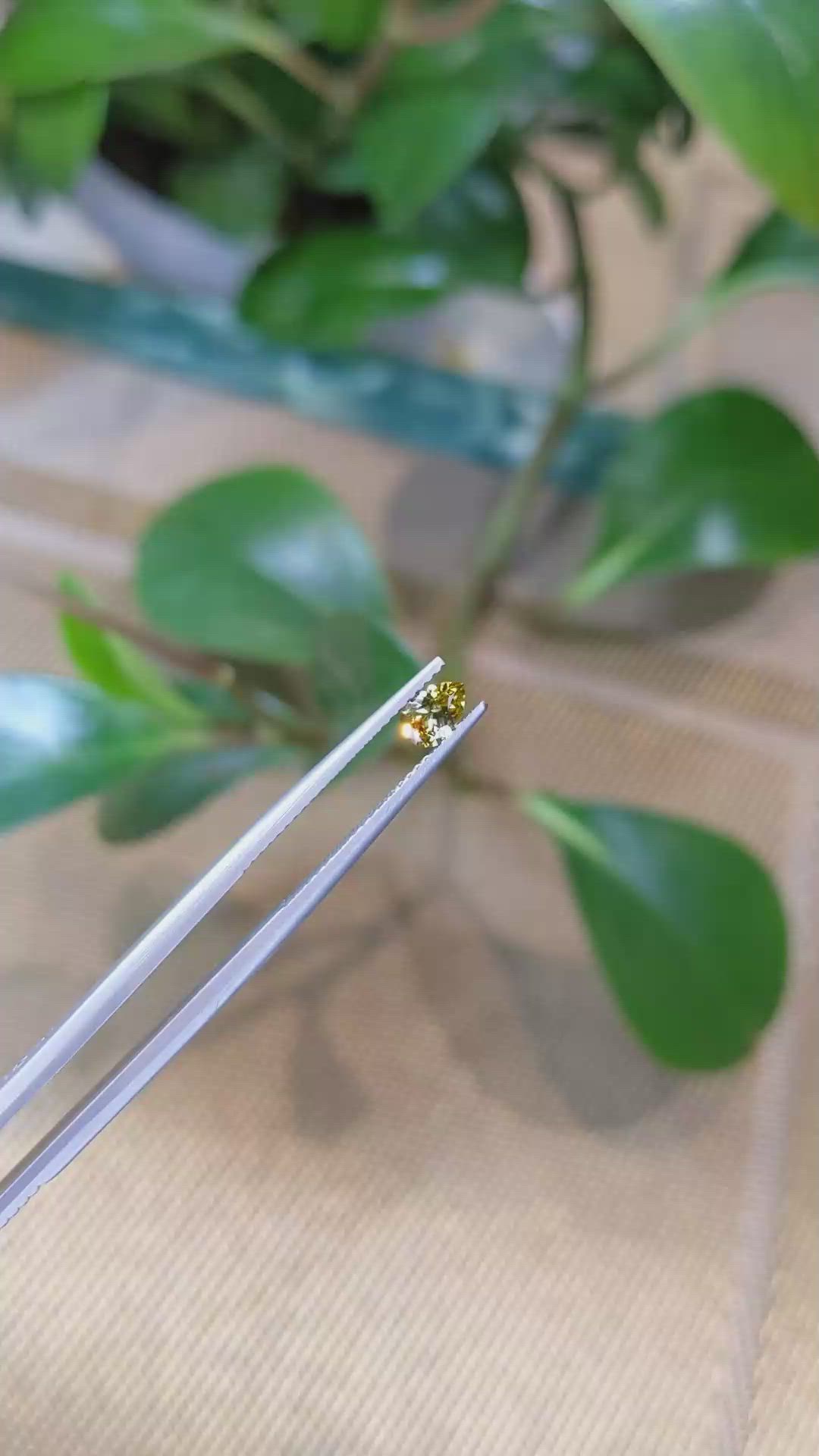 0.48 Ct. Bi Color Sapphire from Montana Size Video