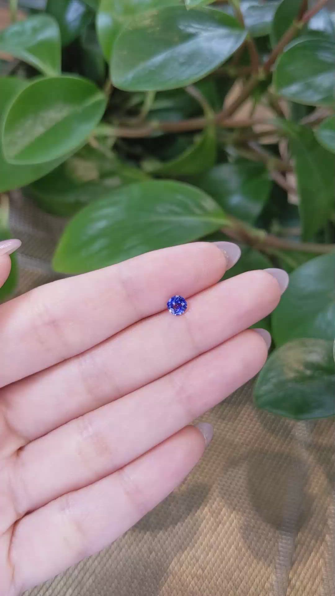 0.49 Ct. Blue Sapphire from Ceylon (Sri Lanka) Size Video