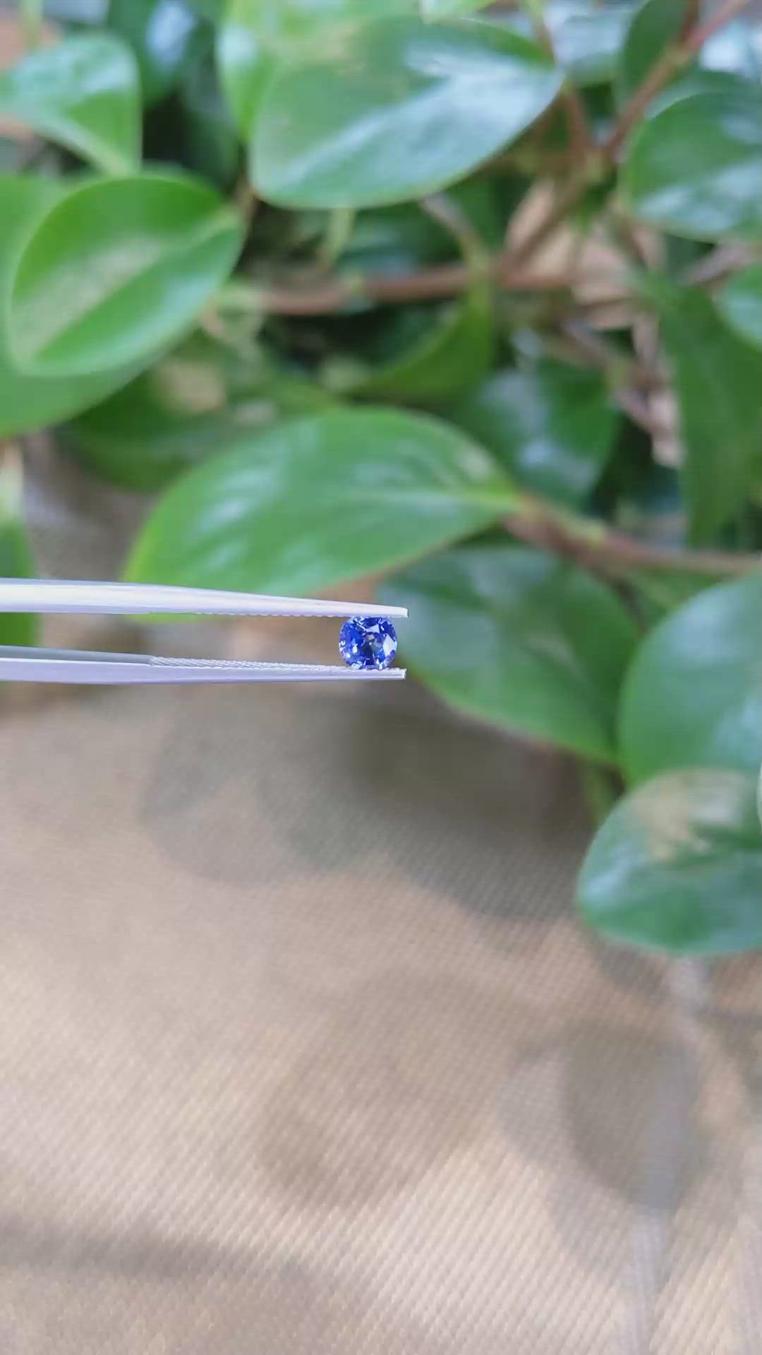 0.49 Ct. Blue Sapphire from Ceylon (Sri Lanka) Size Video