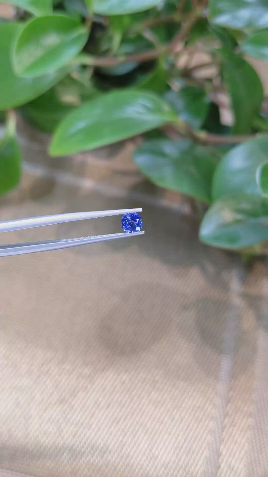0.65 Ct. Blue Sapphire from Ceylon (Sri Lanka) Size Video