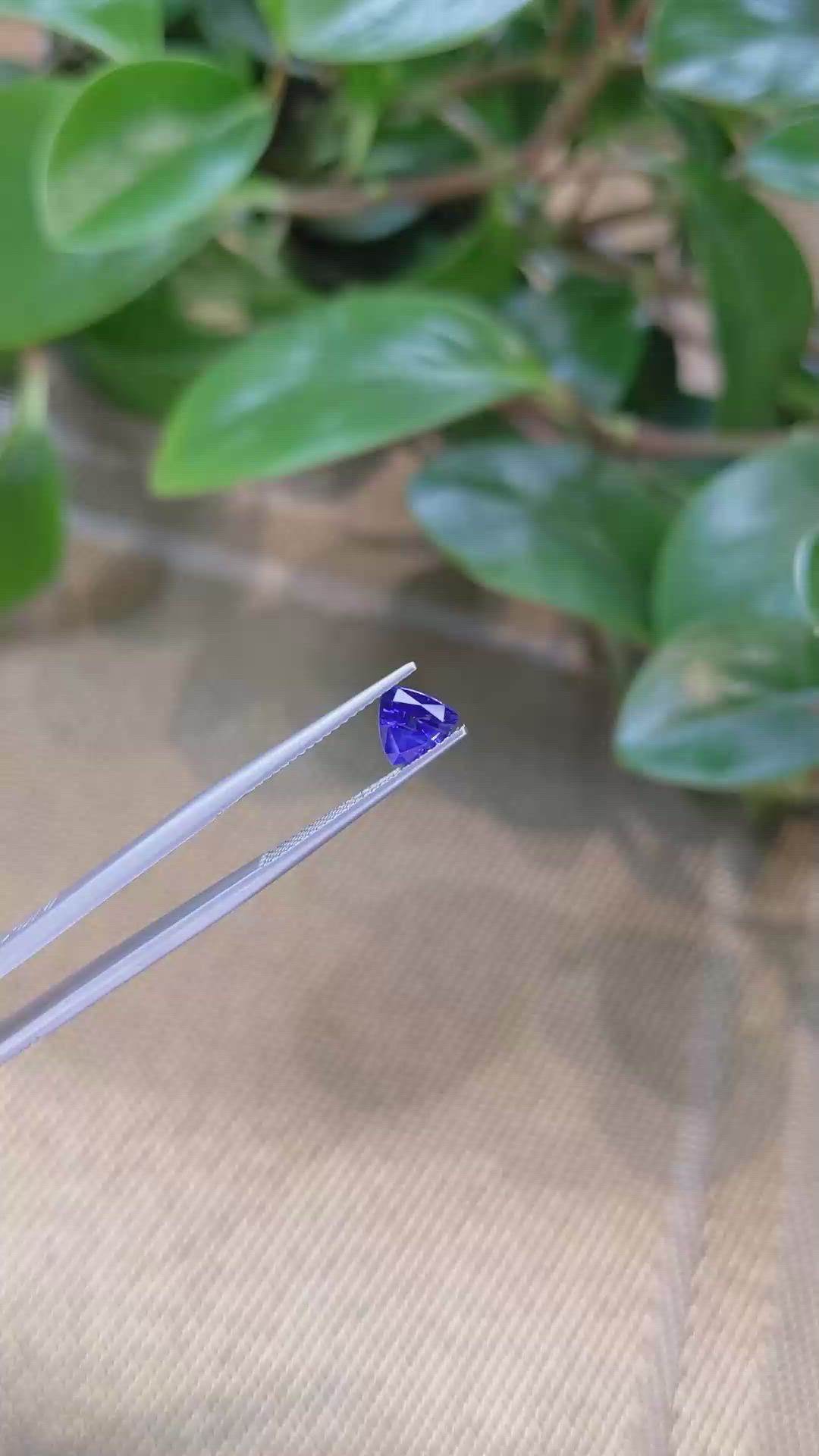 1.12 Ct. Blue Sapphire from Ceylon (Sri Lanka) Size Video