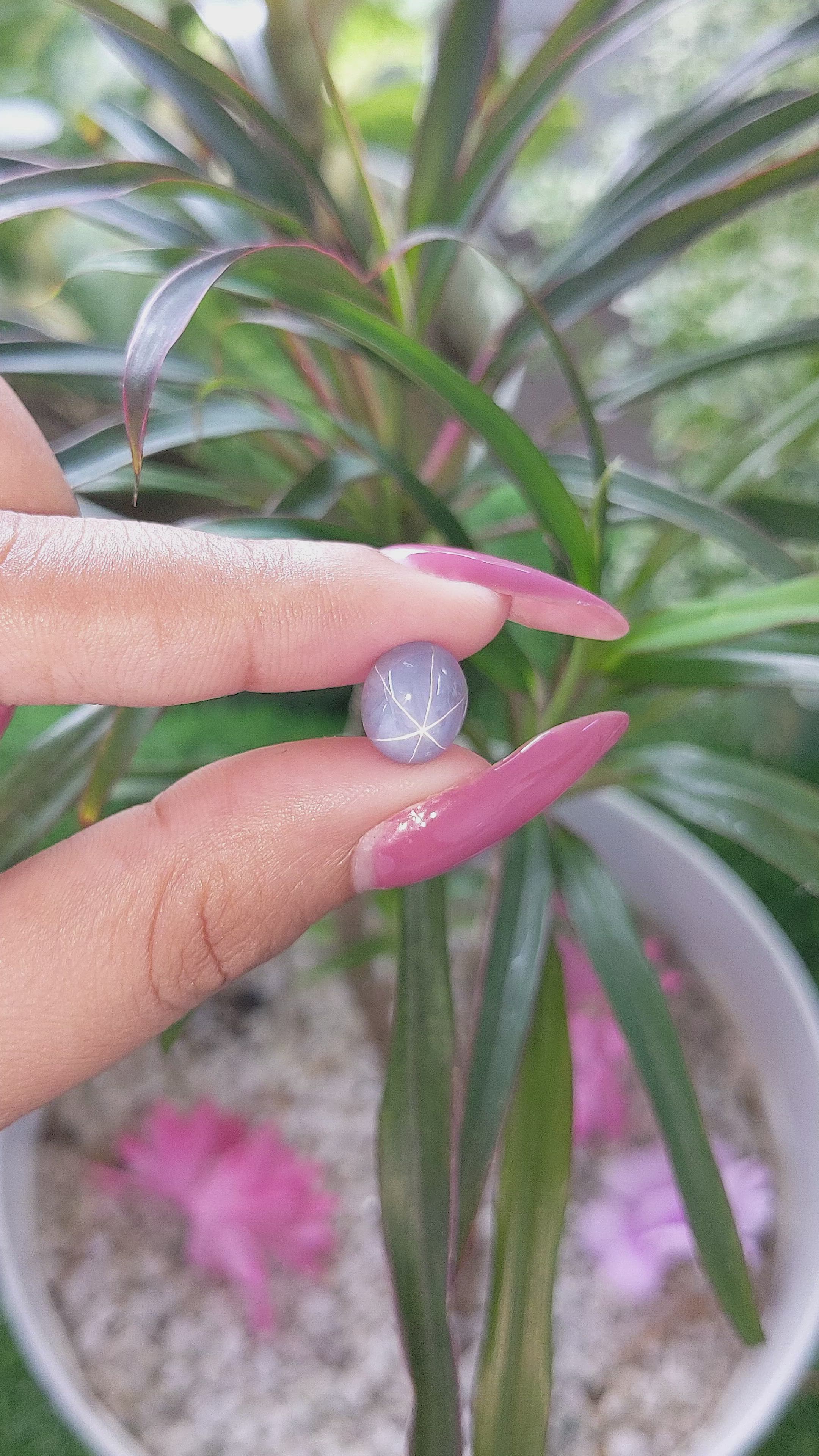 5.21 Ct. Greyish Blue Star Sapphire from Ceylon (Sri Lanka) Size Video
